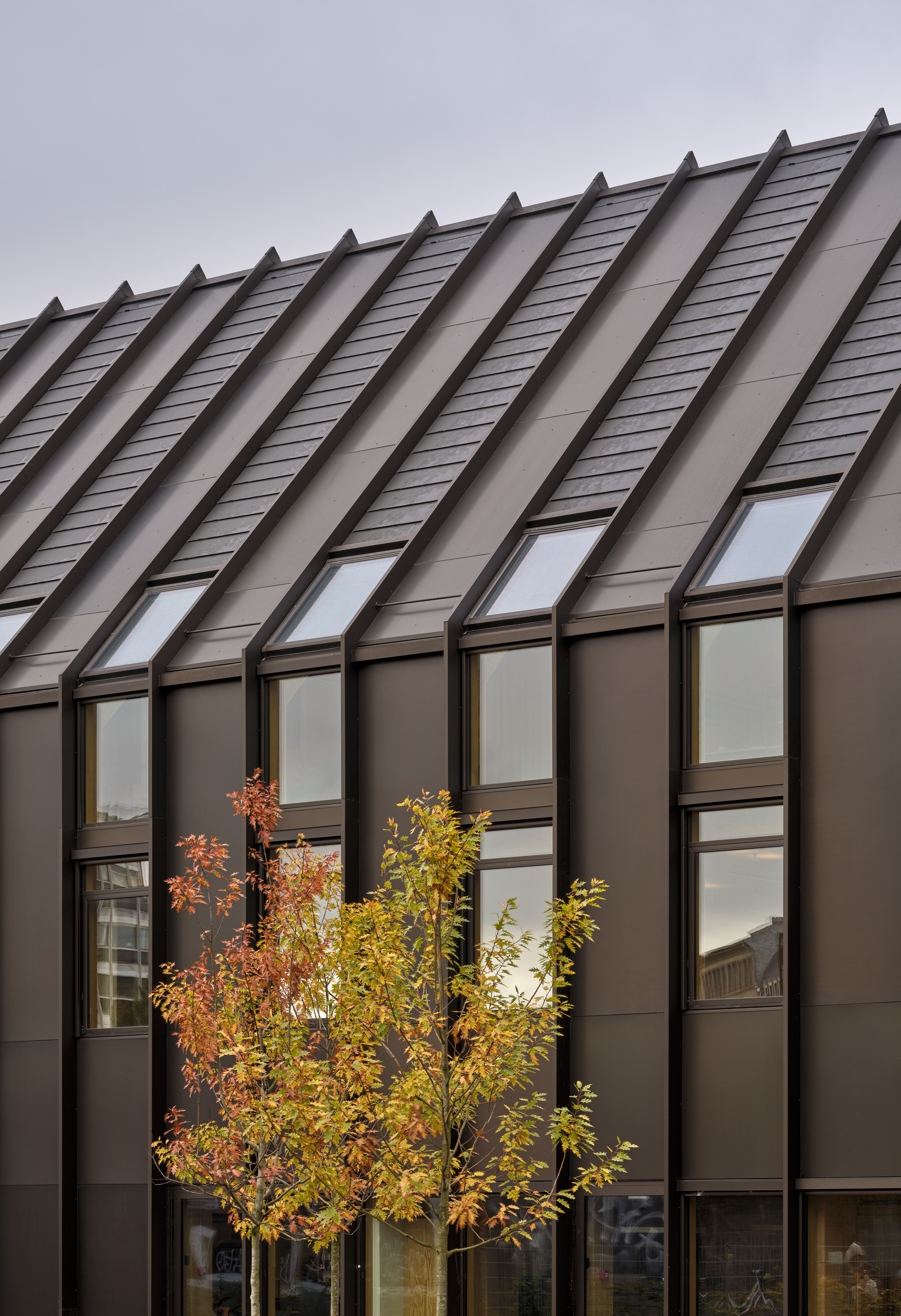 Sawtooth metal roof and glazed facade with vertical bronze mullions in front of autumn trees