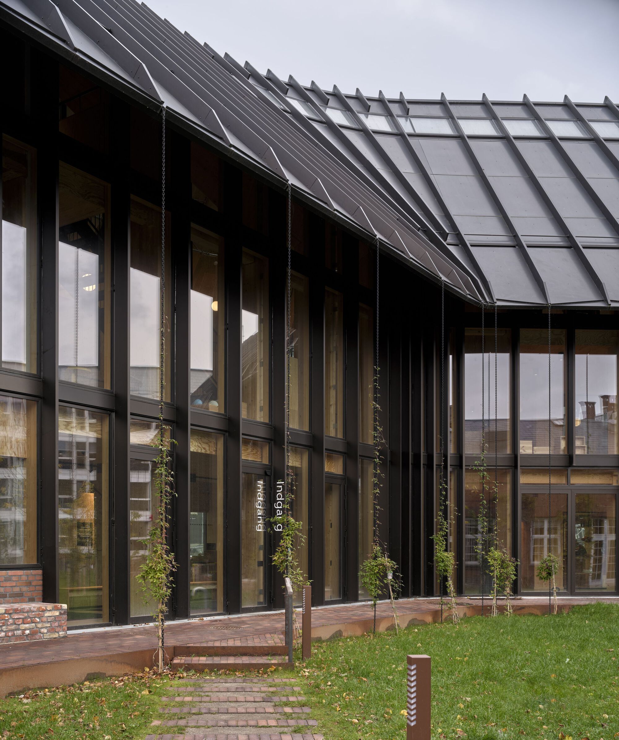 Covered walkway with timber pavers leading past glass walls and young planted trees