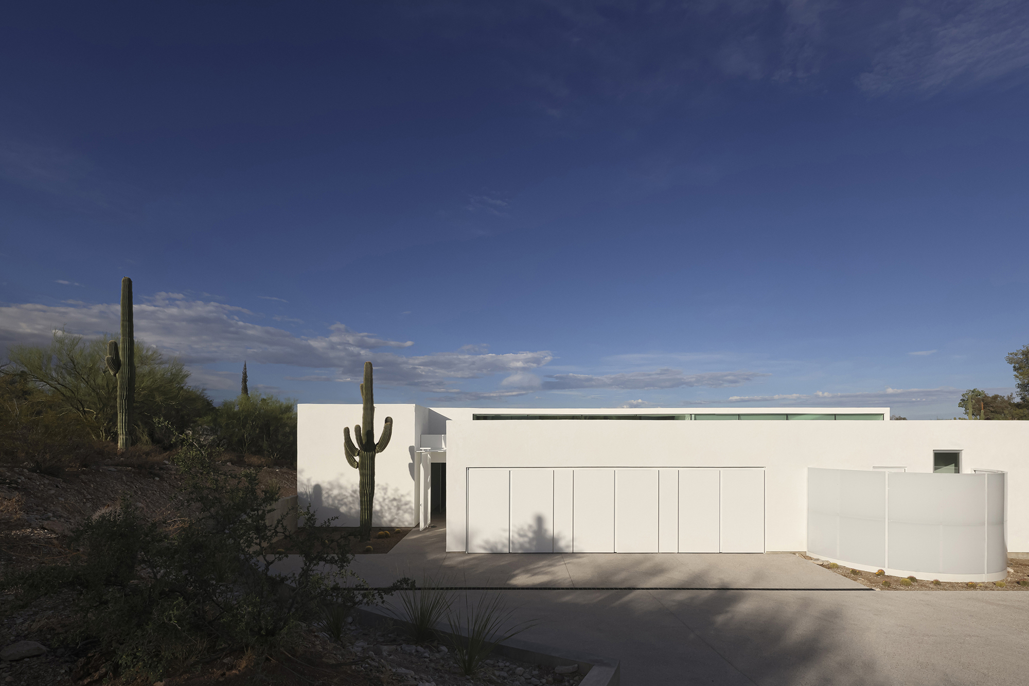 Street view of white stucco facade with paneled garage doors and native saguaro cacti
