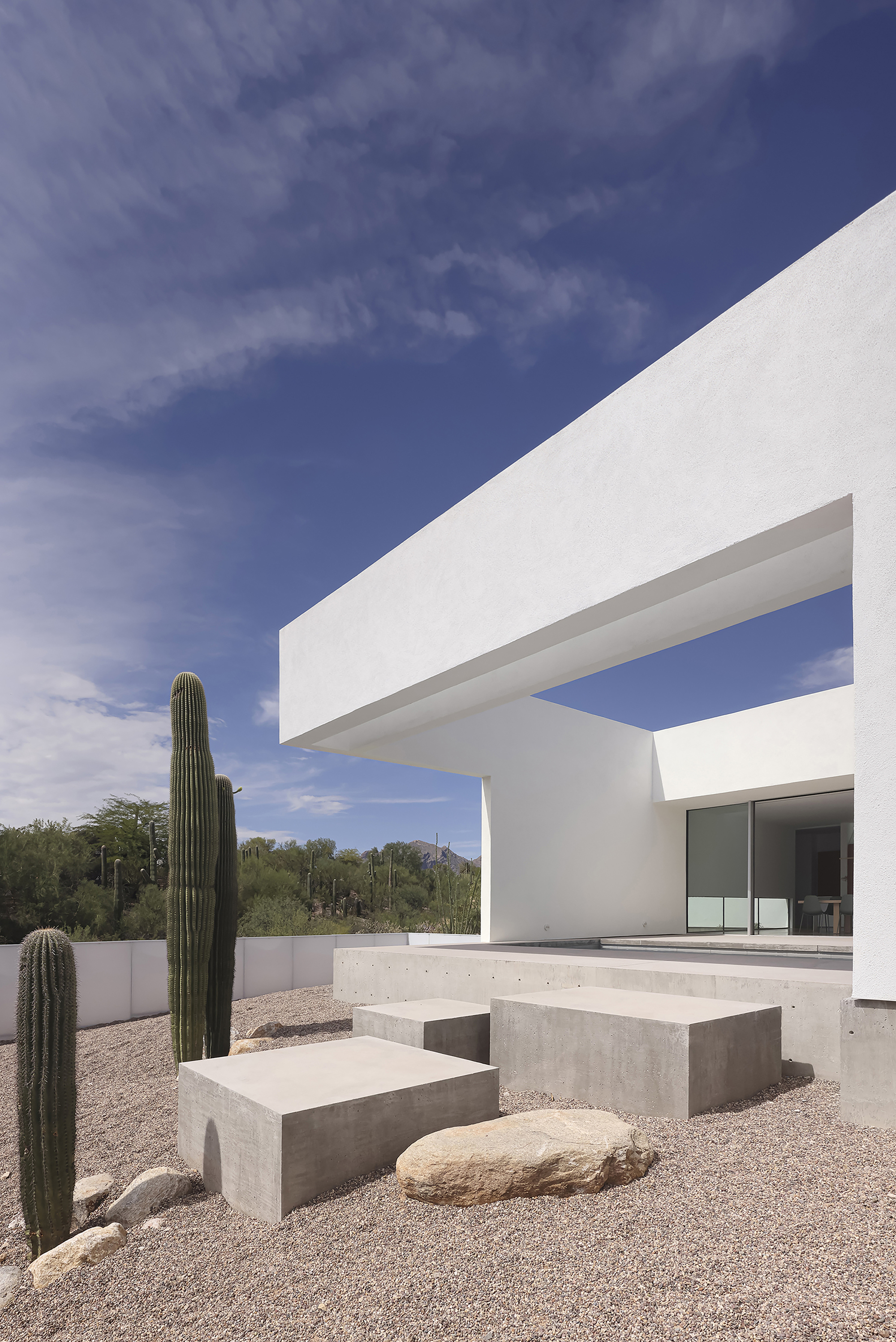 Cantilevered white roof plane sheltering concrete benches and gravel courtyard with towering saguaro cacti