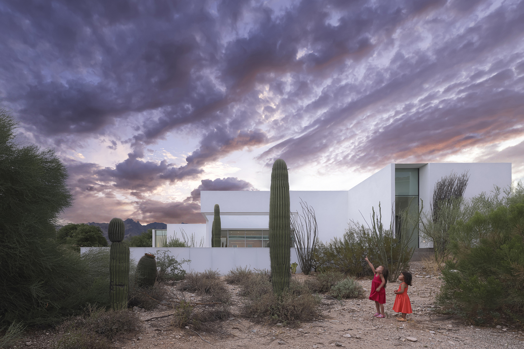 Rooftop terrace with saguaro cacti and desert vegetation at sunset with dramatic cloud formations