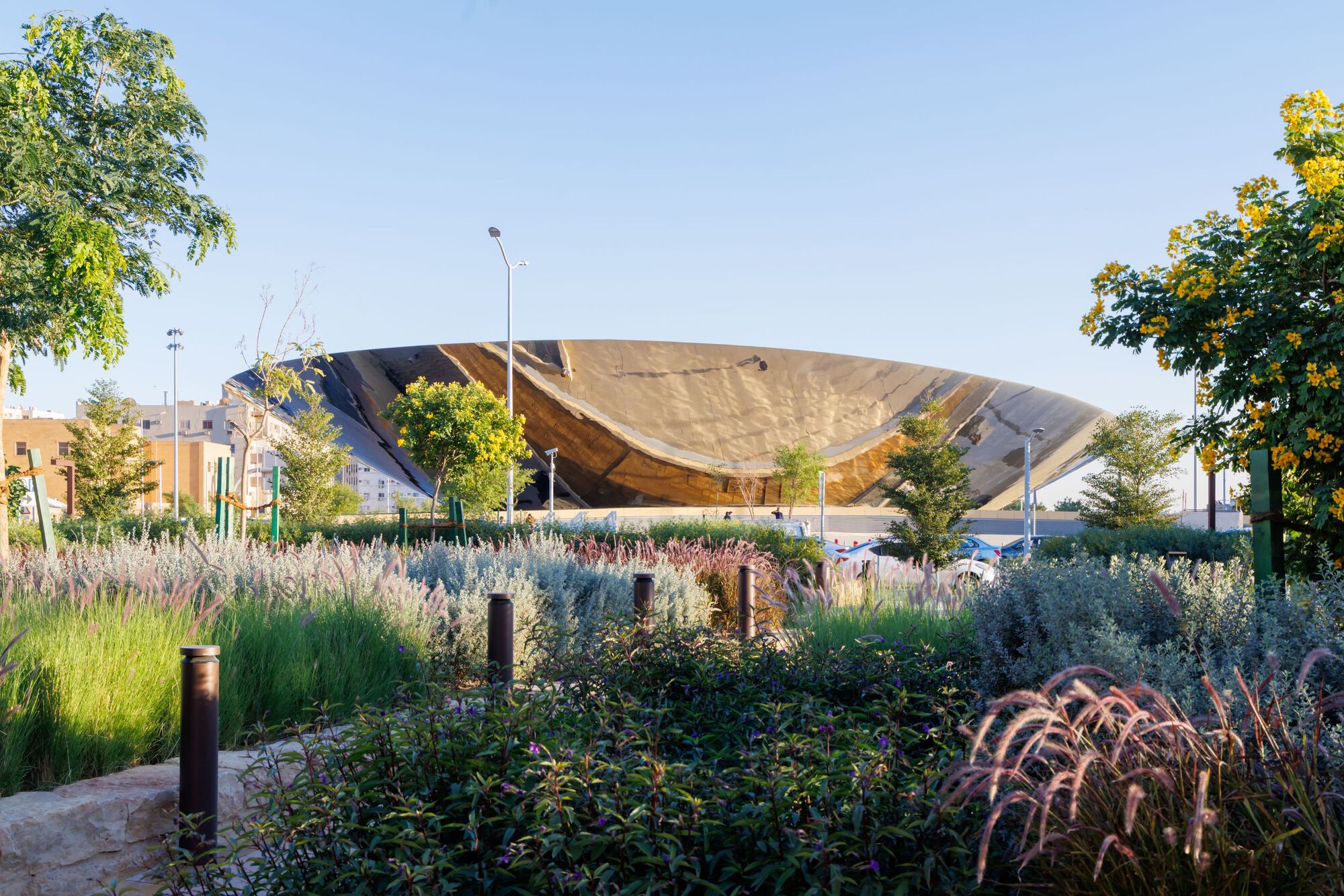 View of the curved metal canopy roof rising above planted beds of grasses and shrubs in afternoon light