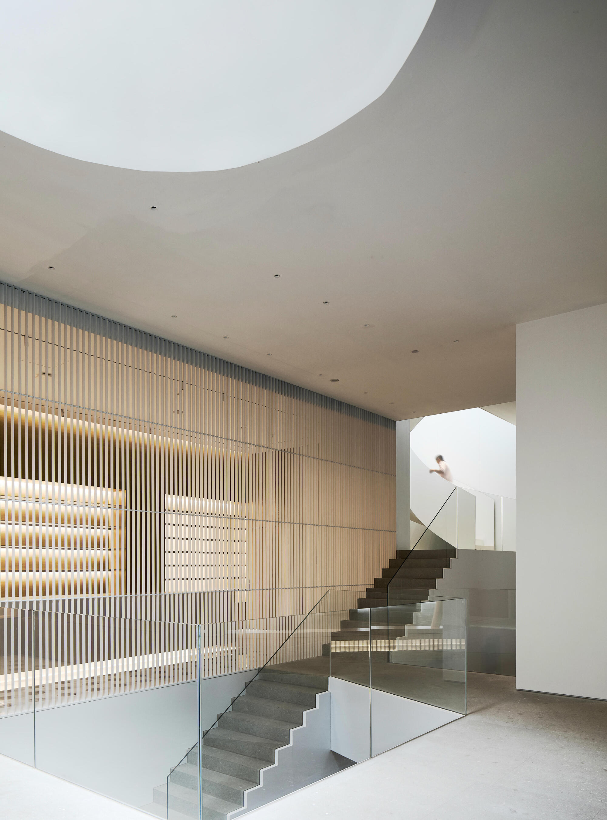 Interior atrium with curved ceiling above split-level staircase and timber slatted screen wall