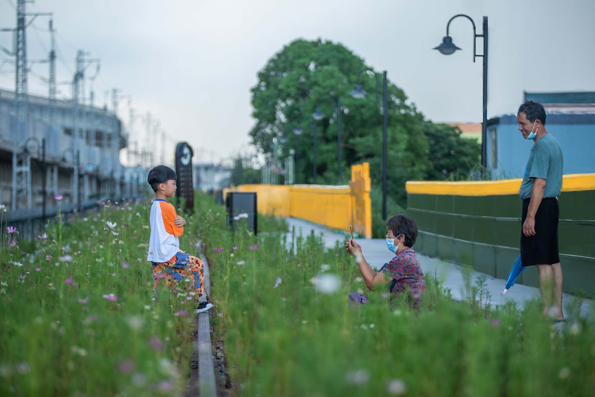 Children and adult among flowering grasses beside yellow and green barrier with horizontal slot windows and lamppost