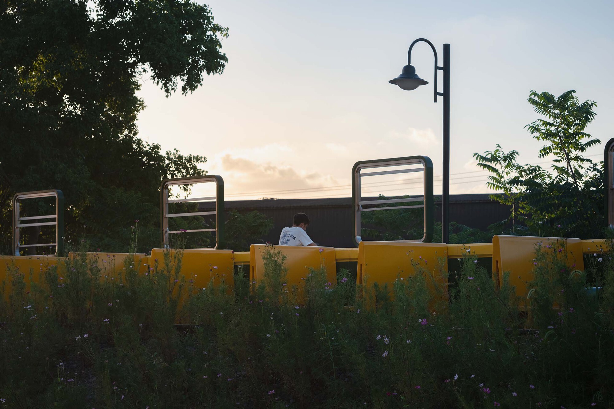 Person seated on yellow bench behind planted buffer with street lamp and exercise equipment at twilight