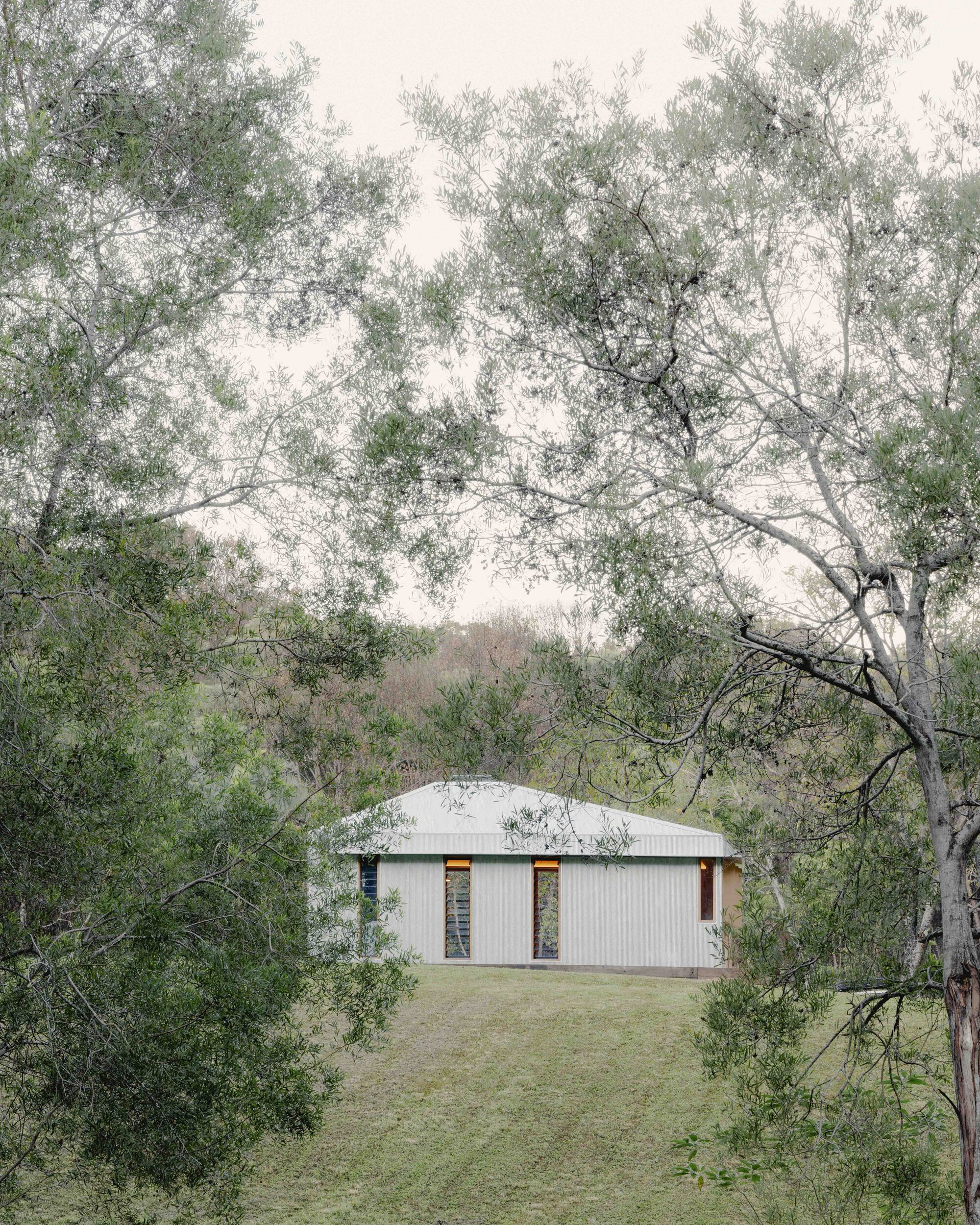 Rear view of the gabled volume in mist with twin openings visible through surrounding eucalyptus trees