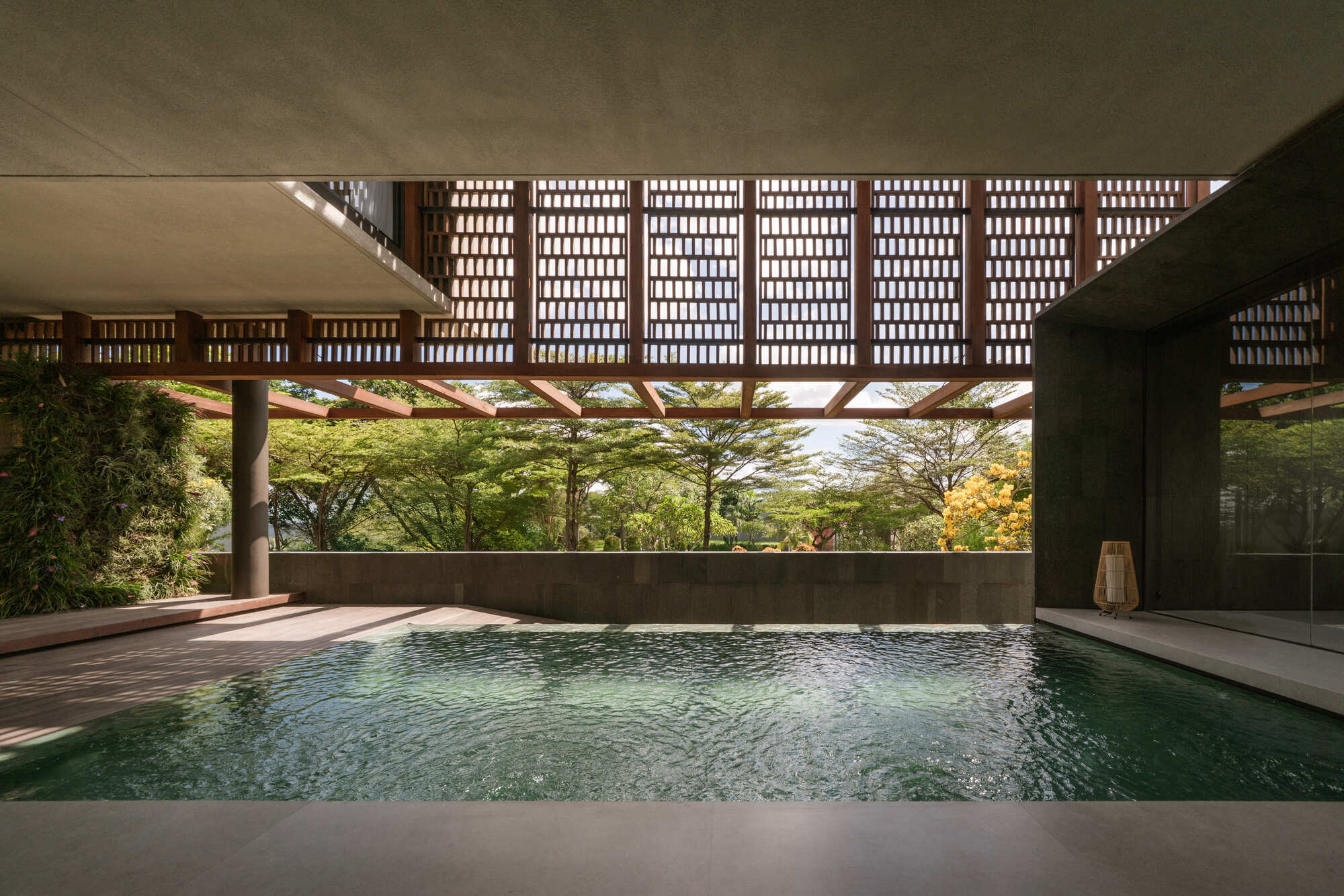 Swimming pool beneath a timber lattice canopy with trees visible beyond the concrete parapet