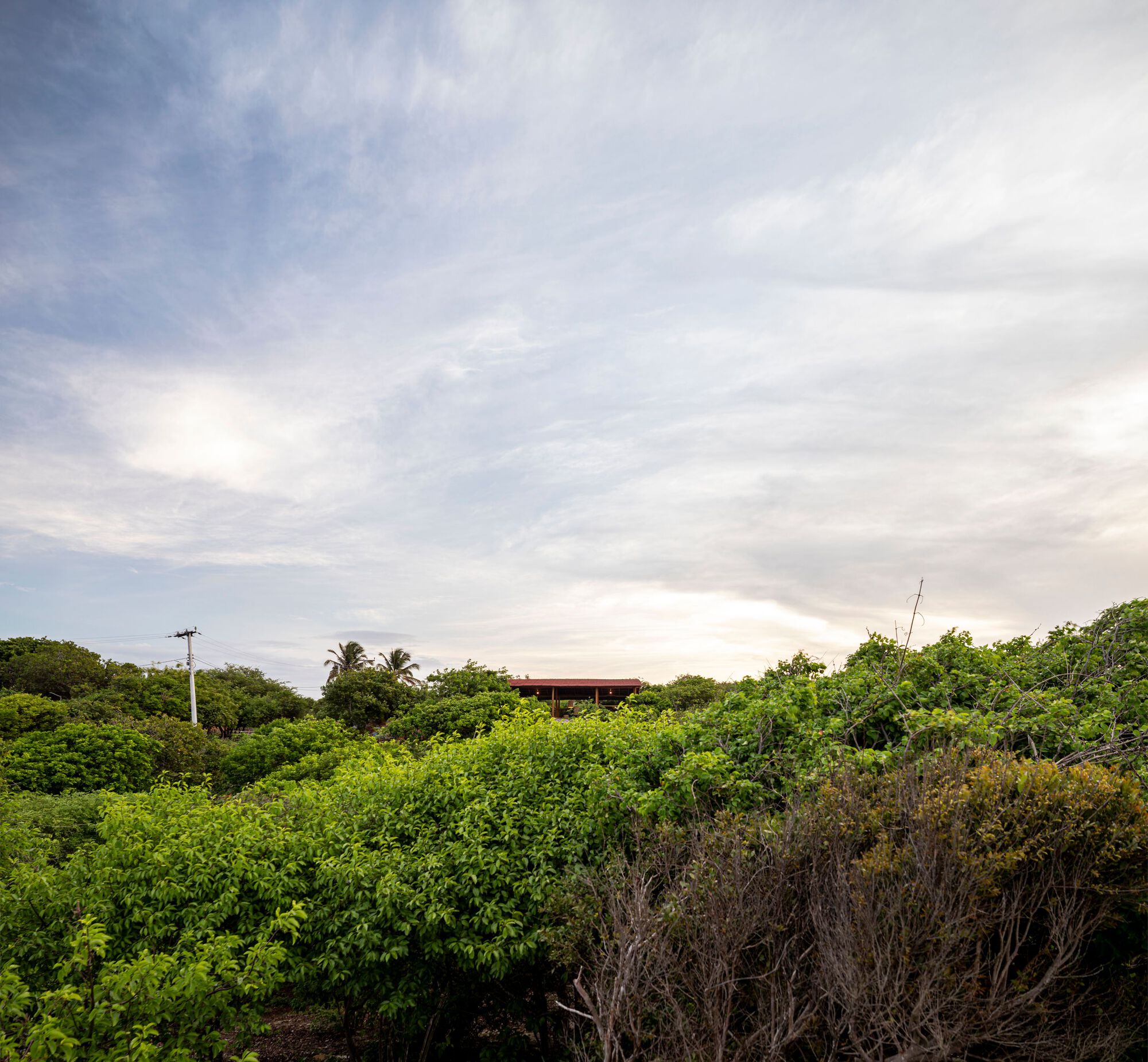 Distant view of the red corrugated roof nestled within dense tropical vegetation under a cloudy sky