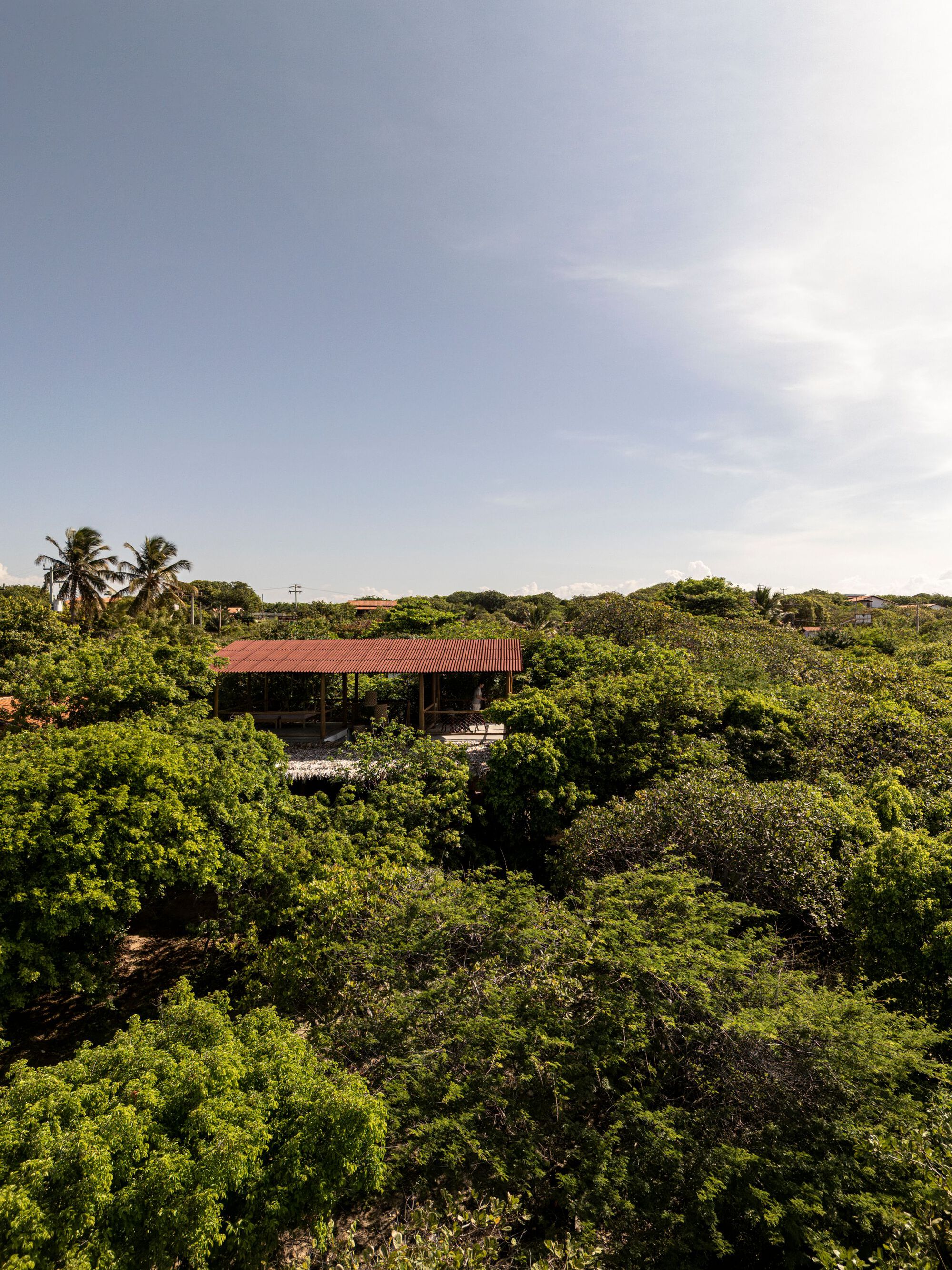 Aerial view of the single-story dwelling with red corrugated roof surrounded by lush green canopy