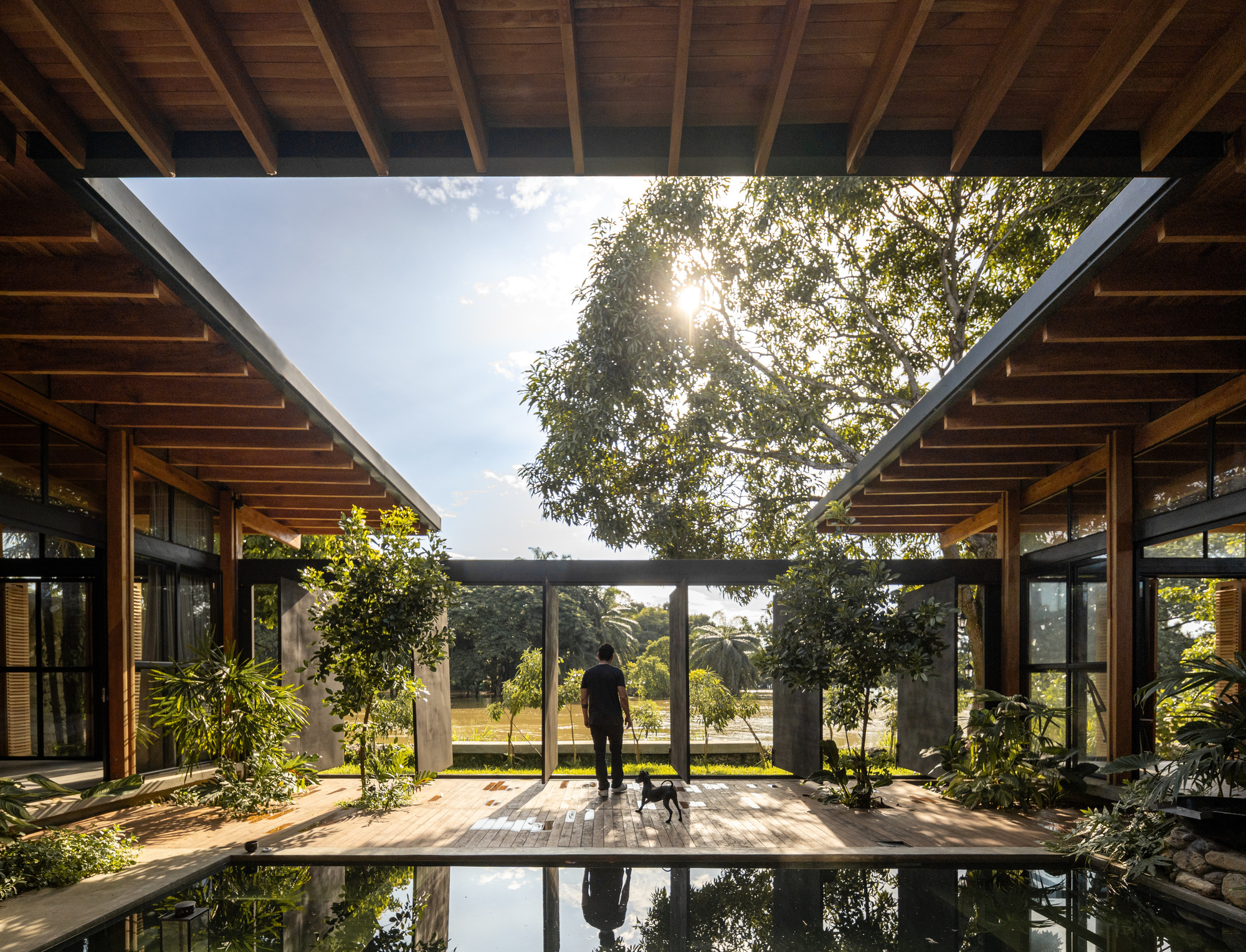 Covered courtyard with exposed timber ceiling, reflecting pool, and diagonal skylight framing a tree overhead