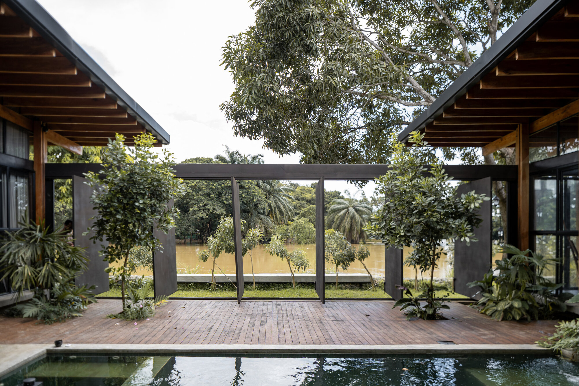 Courtyard with swimming pool and timber deck beneath twin timber-roofed pavilions and planted steel frame screens