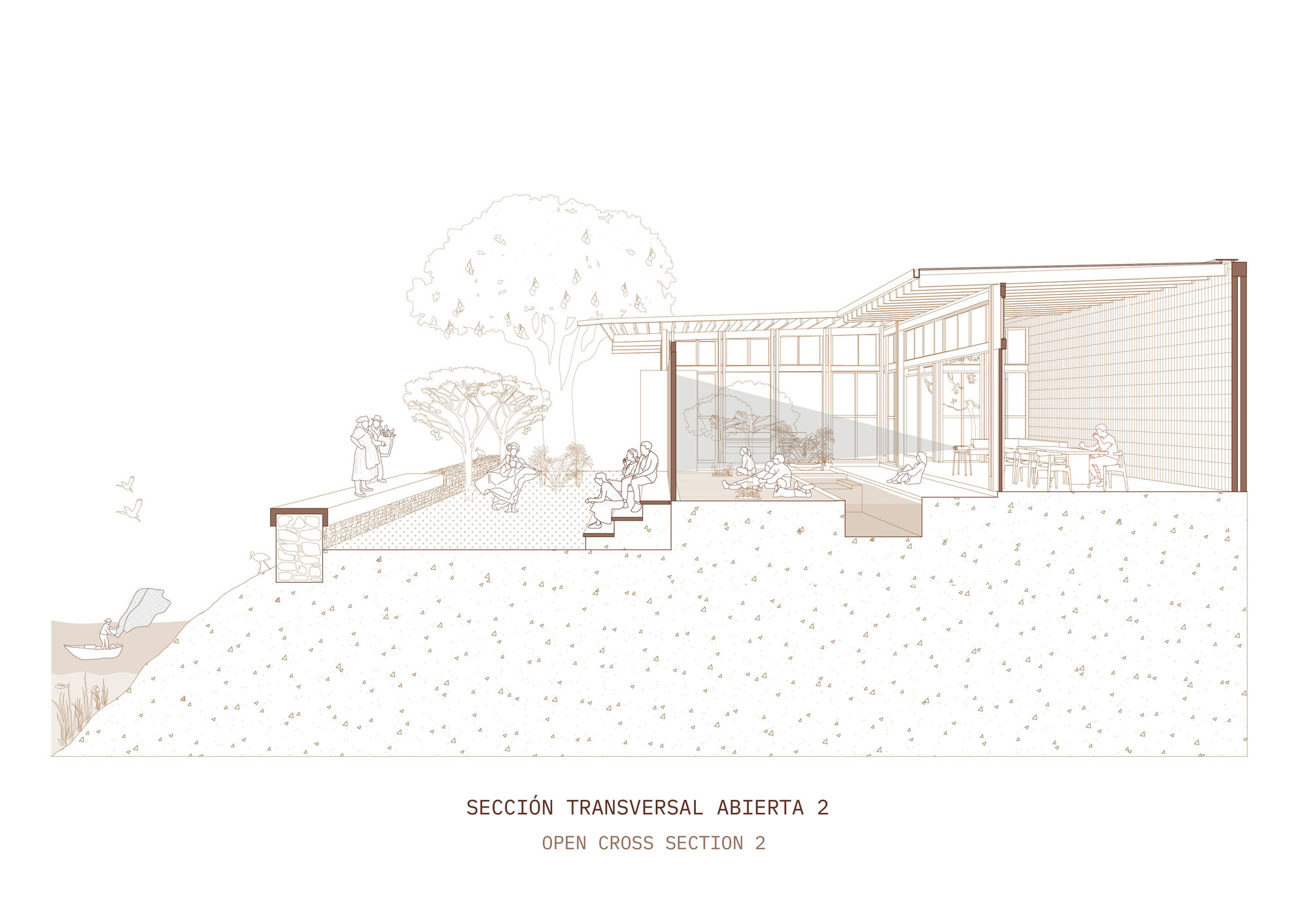 Cross section drawing revealing interior volumes with timber framing and glazing overlooking a sloped planted terrain
