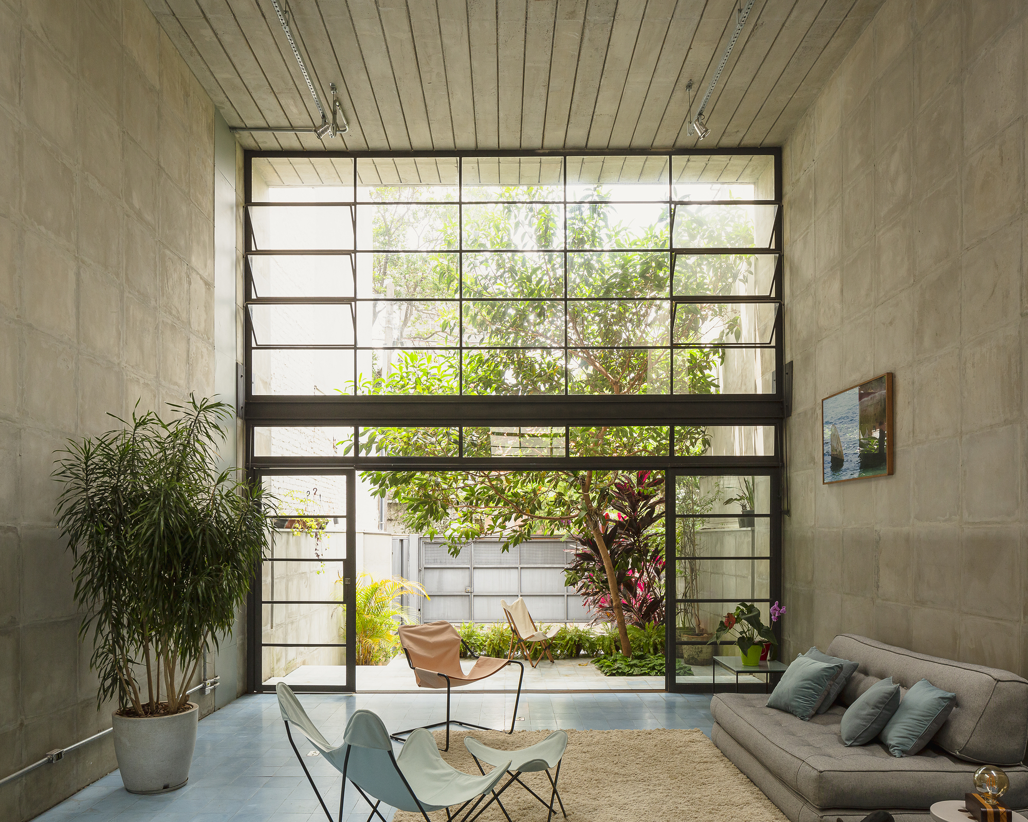 Steel-framed window wall with translucent and clear panels overlooking a planted courtyard with trees and flowering plants