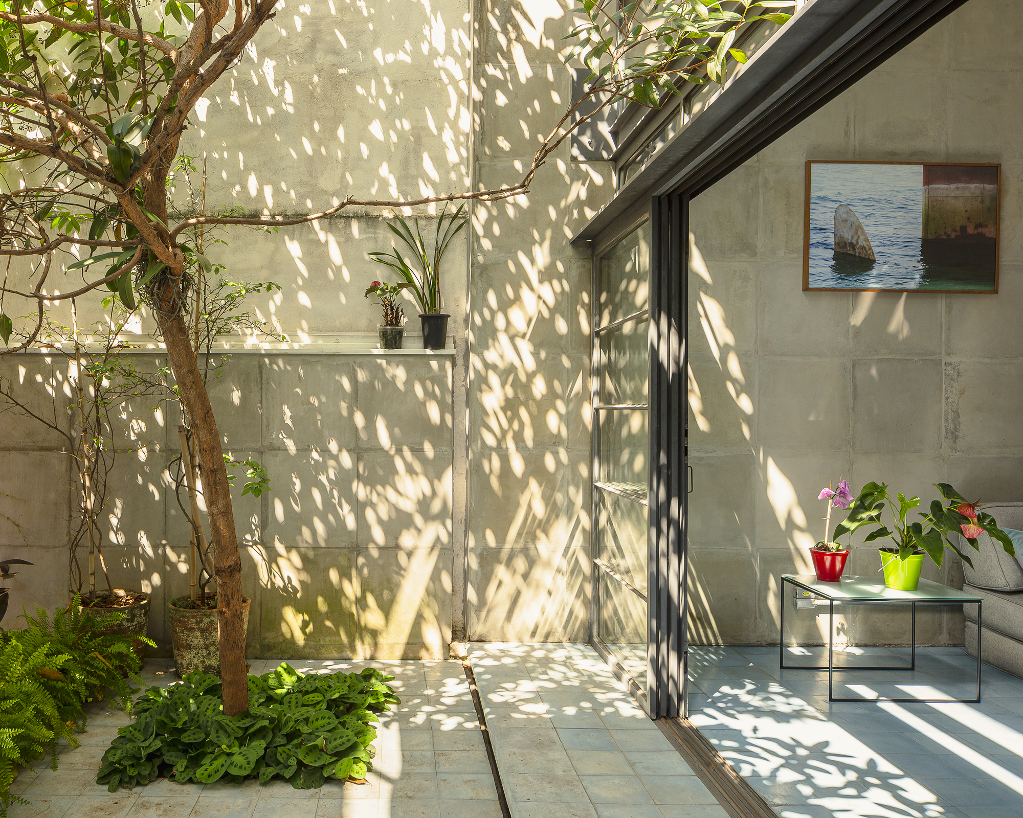 Courtyard with concrete walls, a tree casting dappled shadows, and potted plants near sliding glass doors