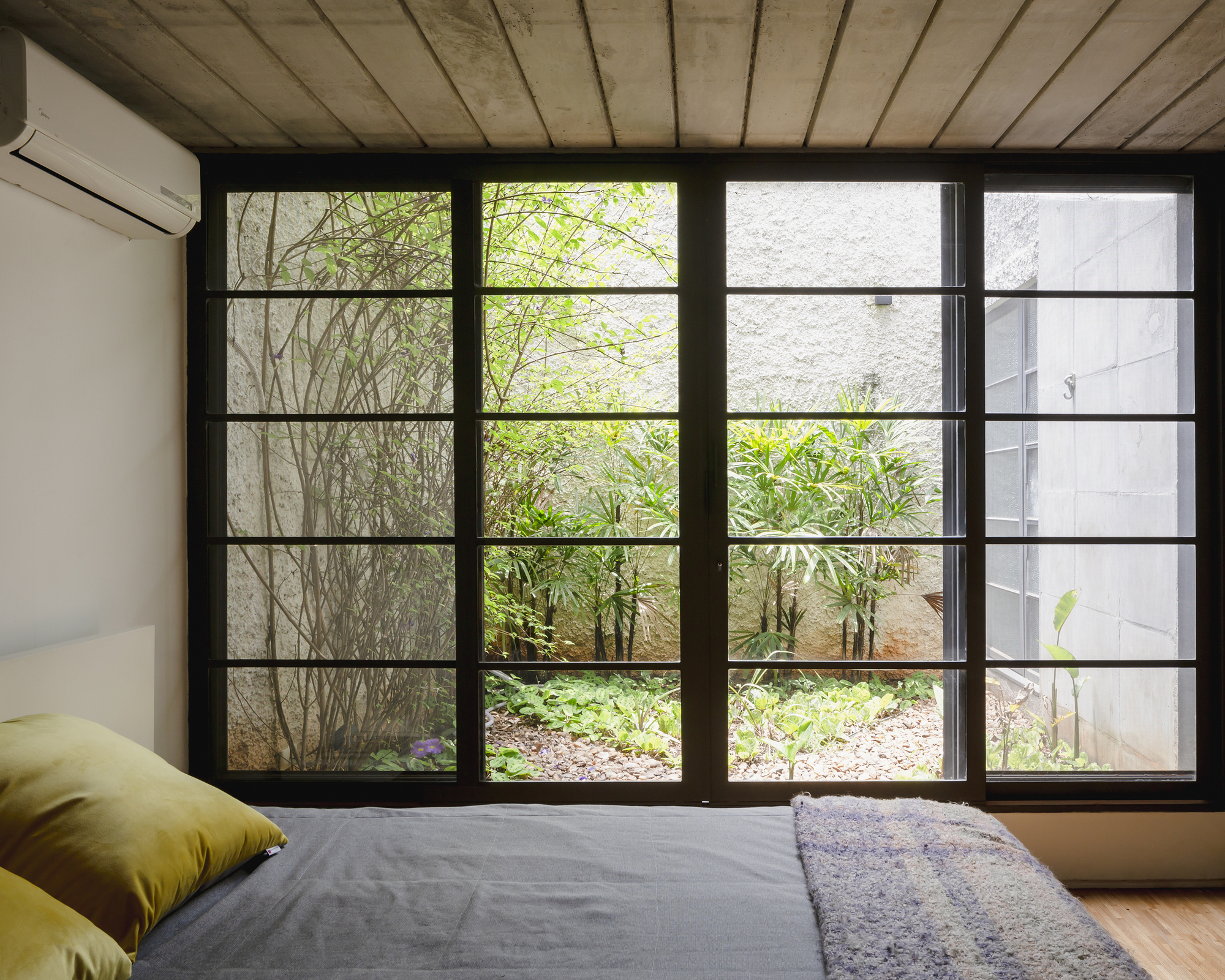 View through black steel-framed window to interior courtyard with ground cover and young trees
