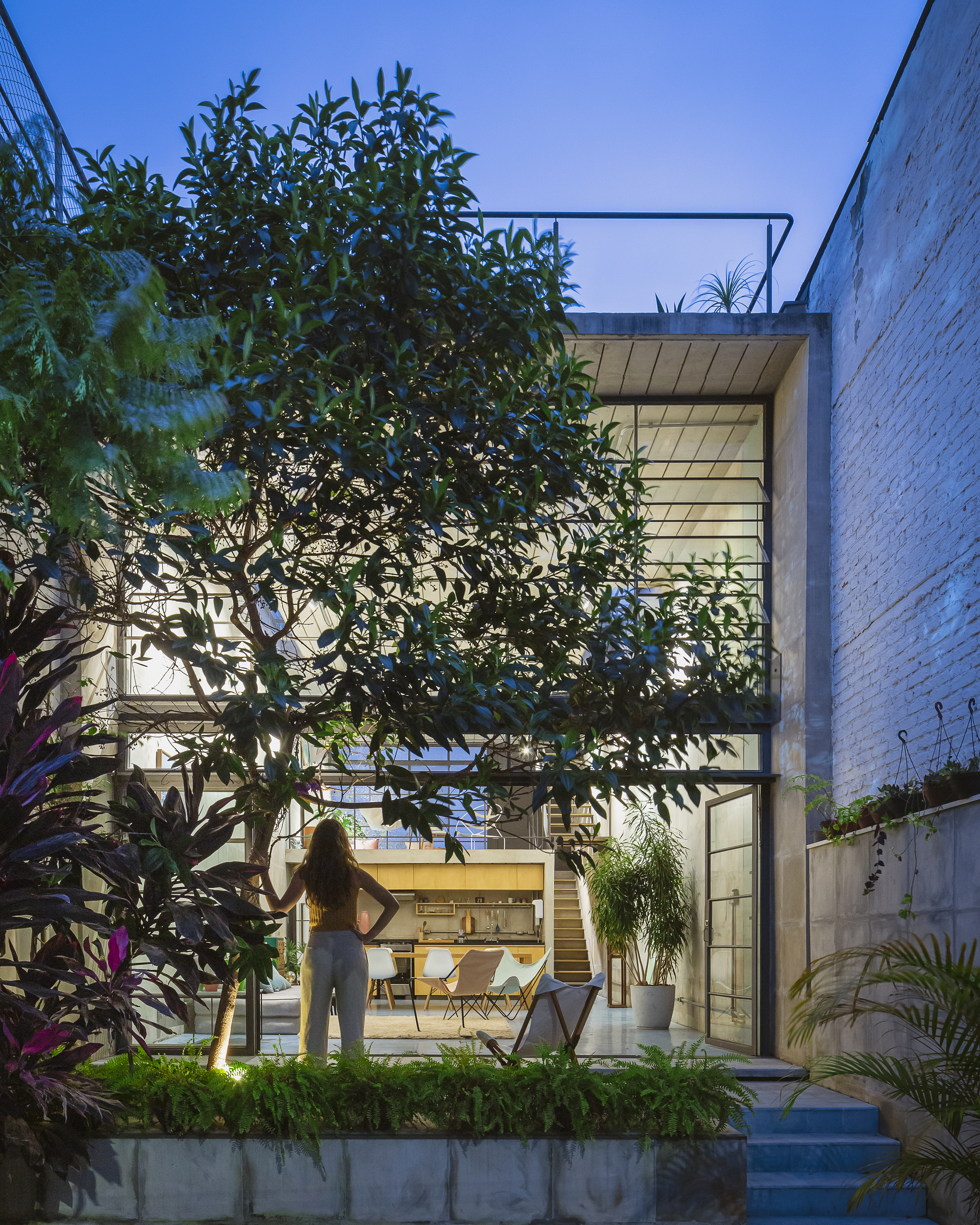 Glass facade with steel frames behind a planted courtyard tree at twilight