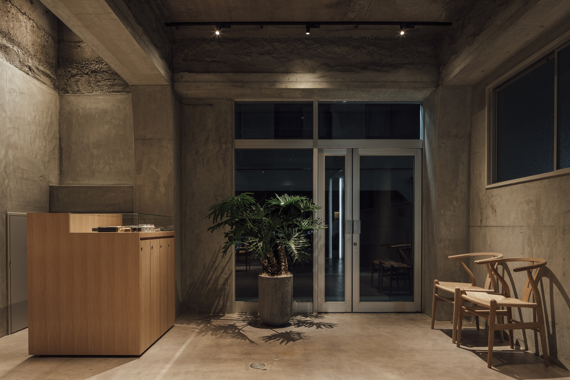 Reception area with timber desk, potted palm, and concrete walls under spotlit exposed ceiling at night