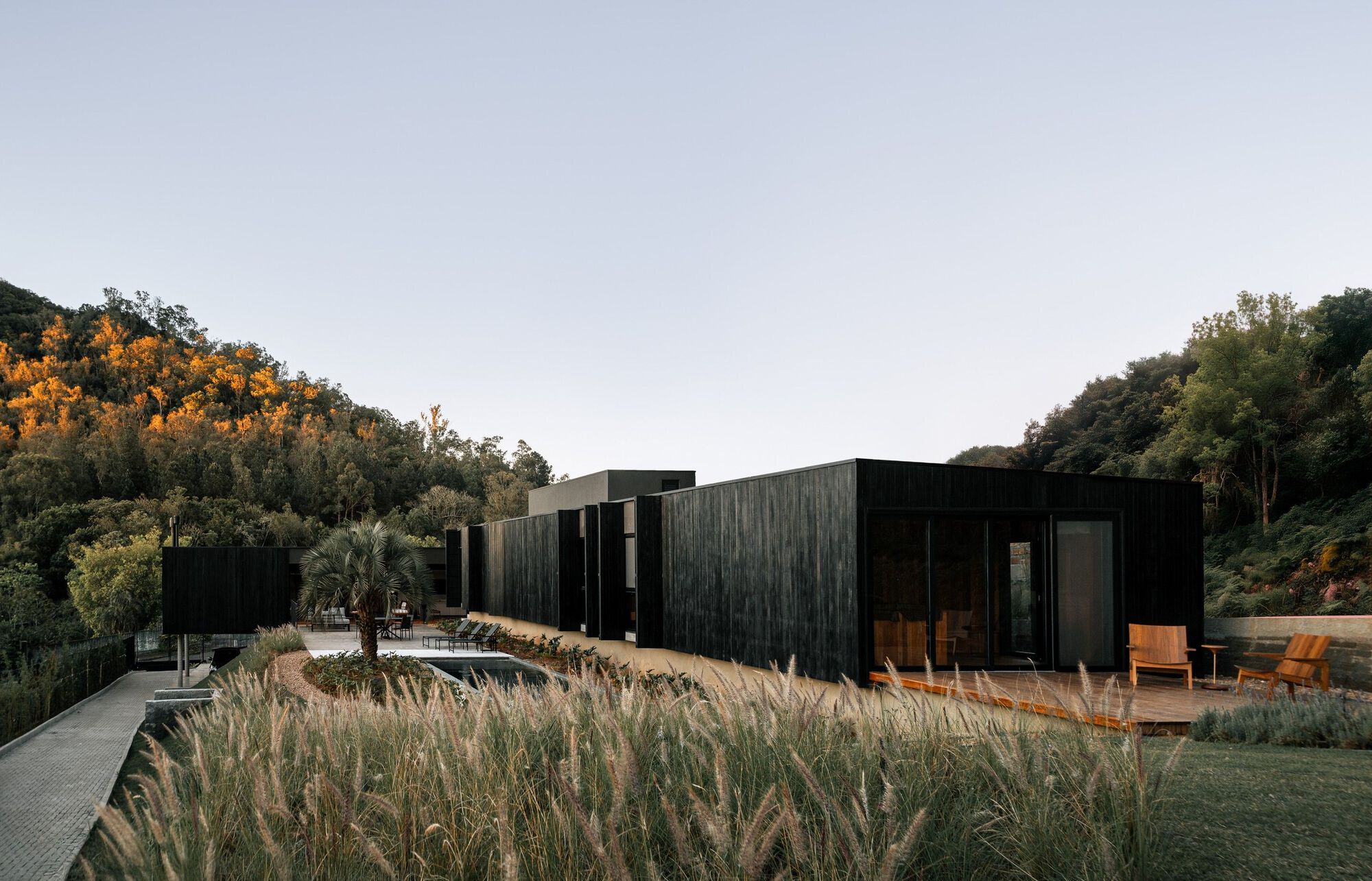 Dark timber-clad volumes set among native grasses with hillside foliage at dusk