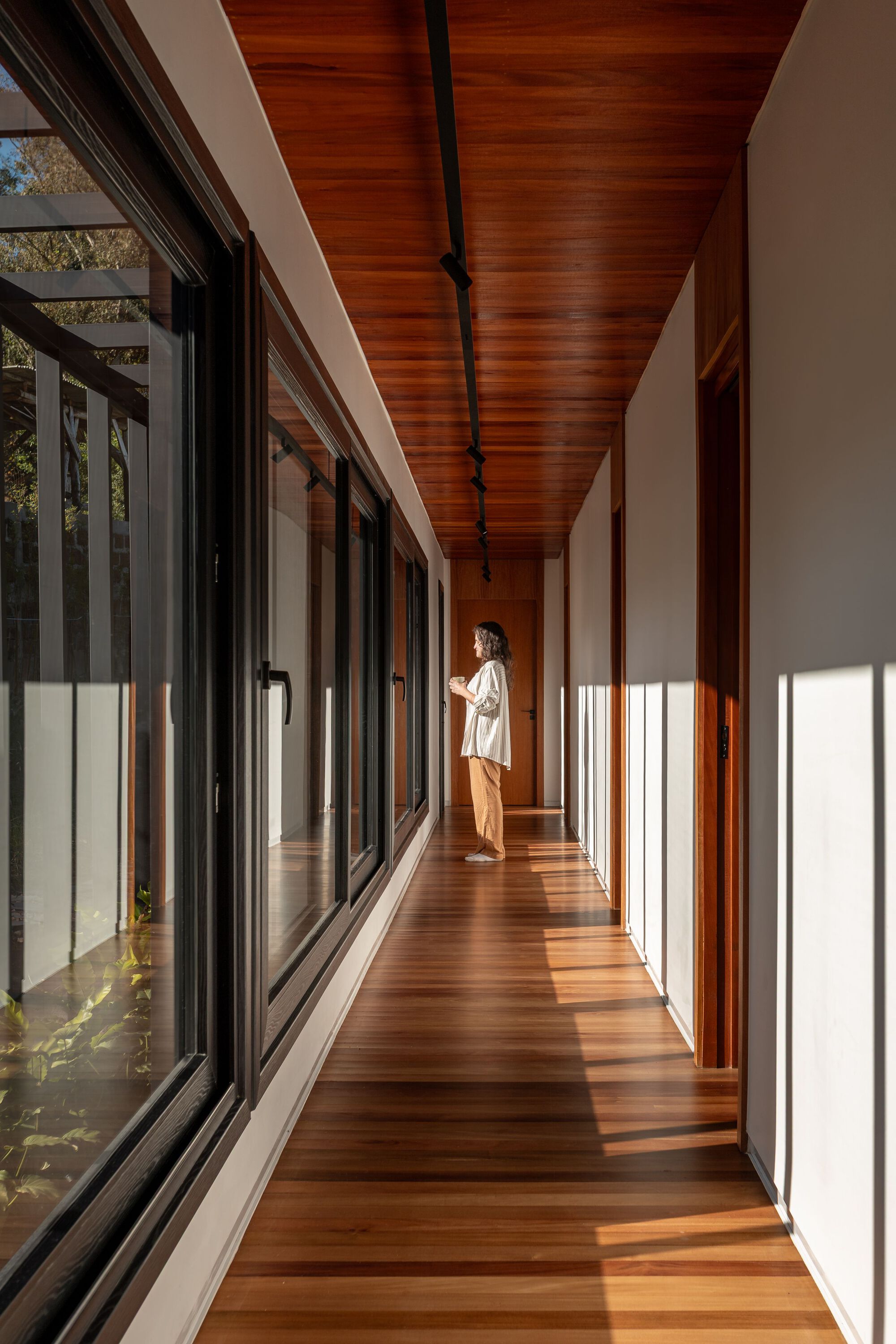 Timber-lined corridor with full-height glazing on one side casting afternoon light across the floor