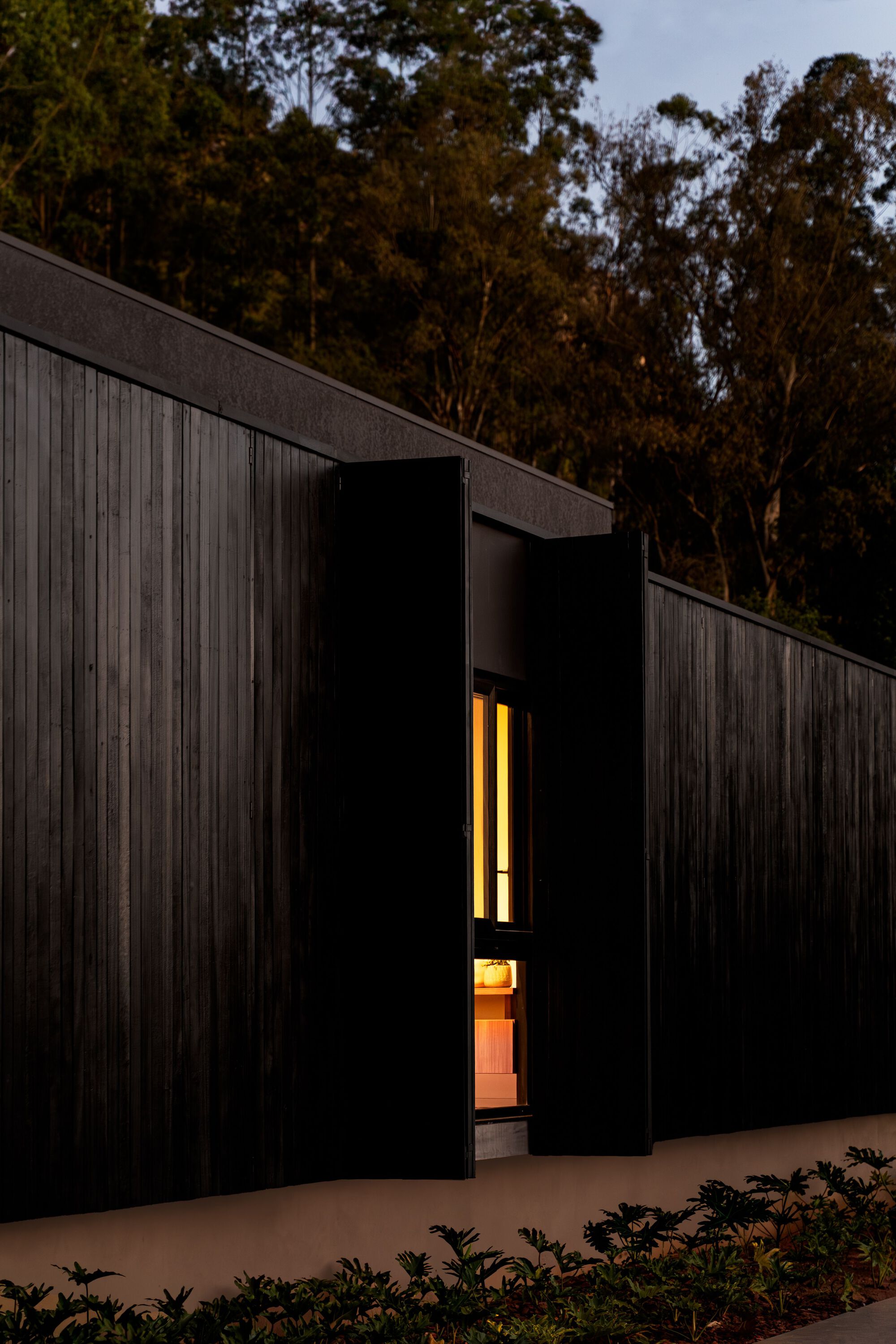 Entrance recess with glowing interior light cutting through black timber-clad facade backed by eucalyptus trees