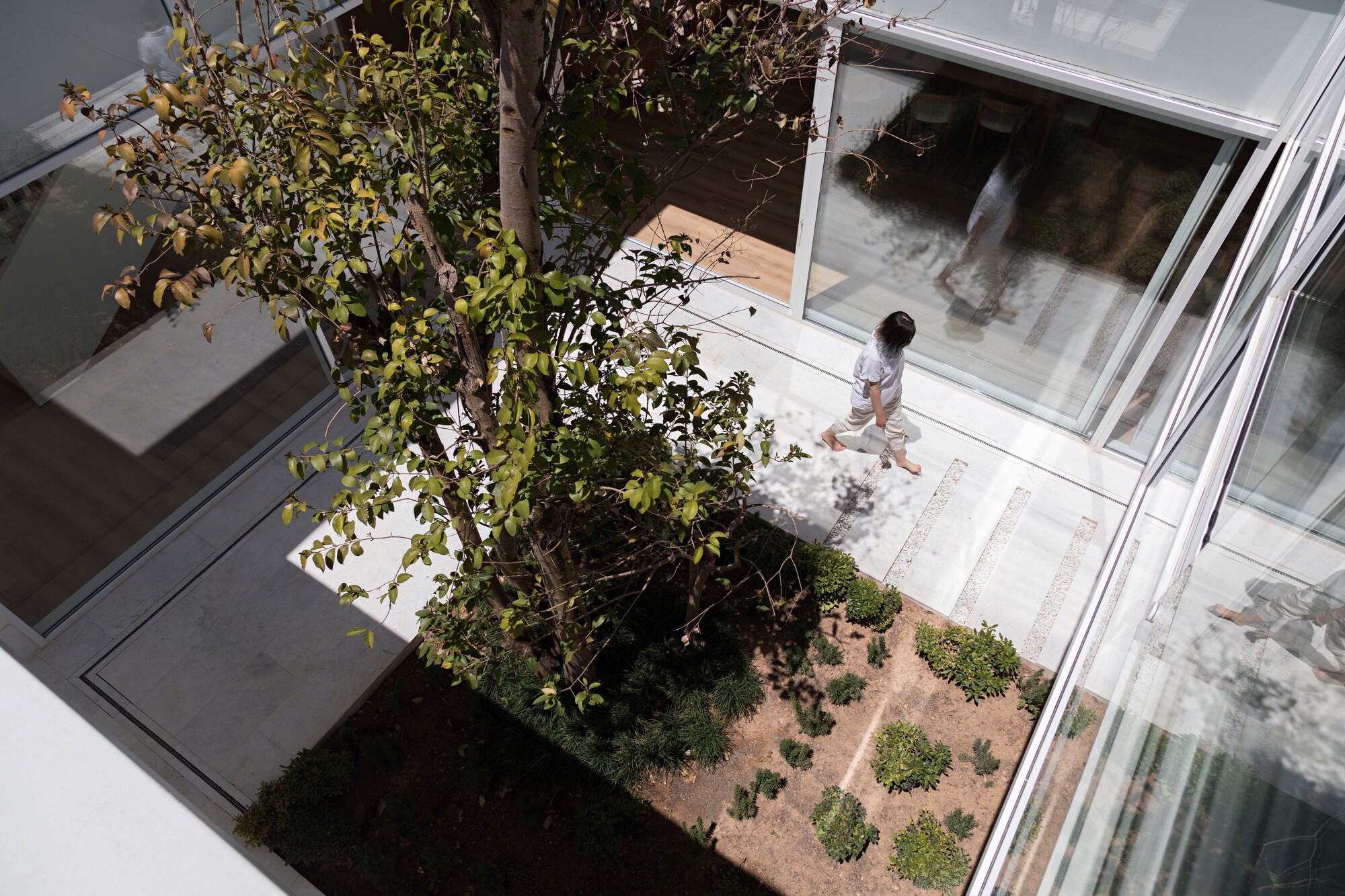 Overhead view of an interior courtyard with a tree and planted beds between glass-walled rooms