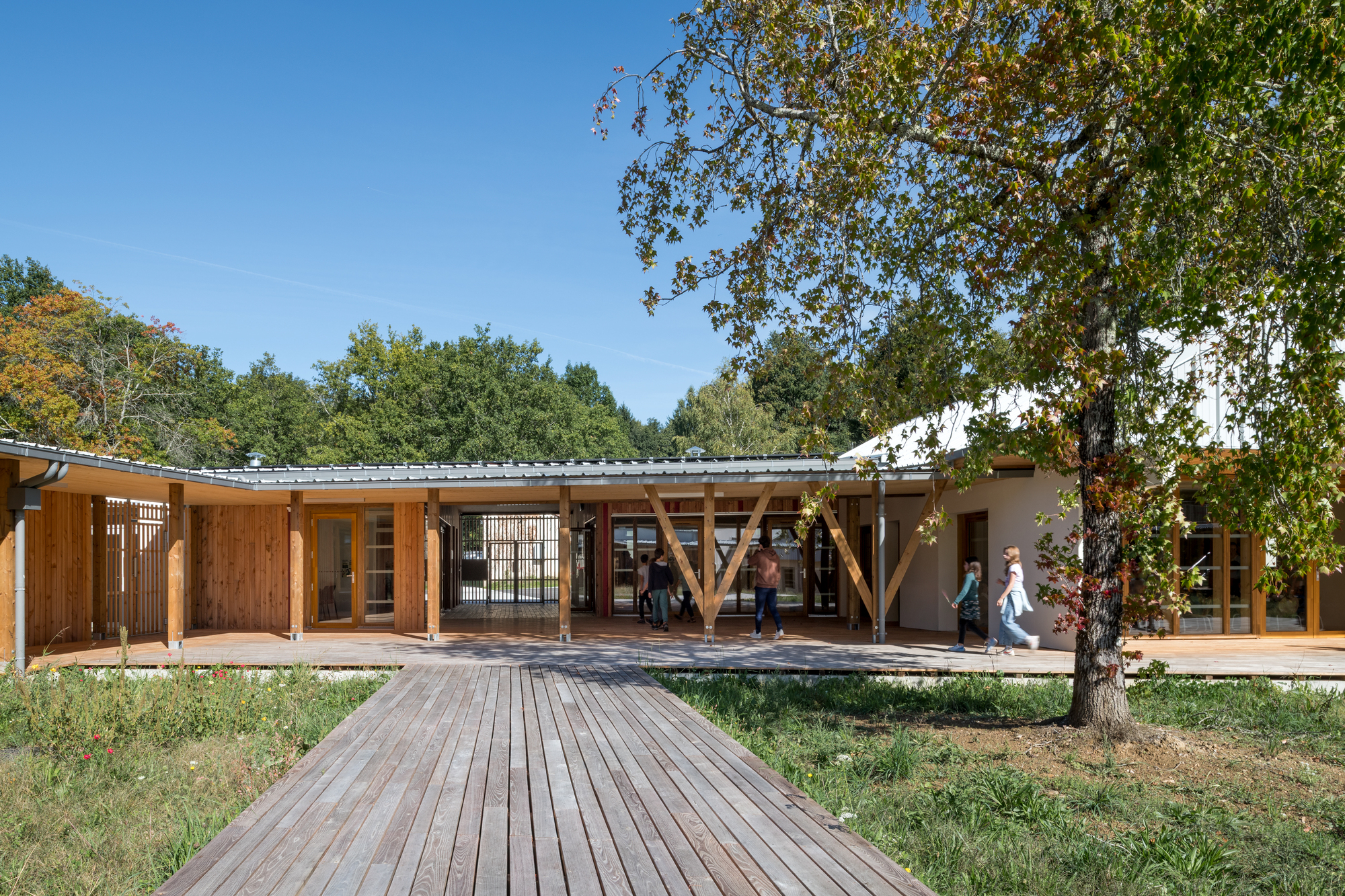 Timber boardwalk leading to covered colonnade with diagonal bracing beneath a mature oak tree