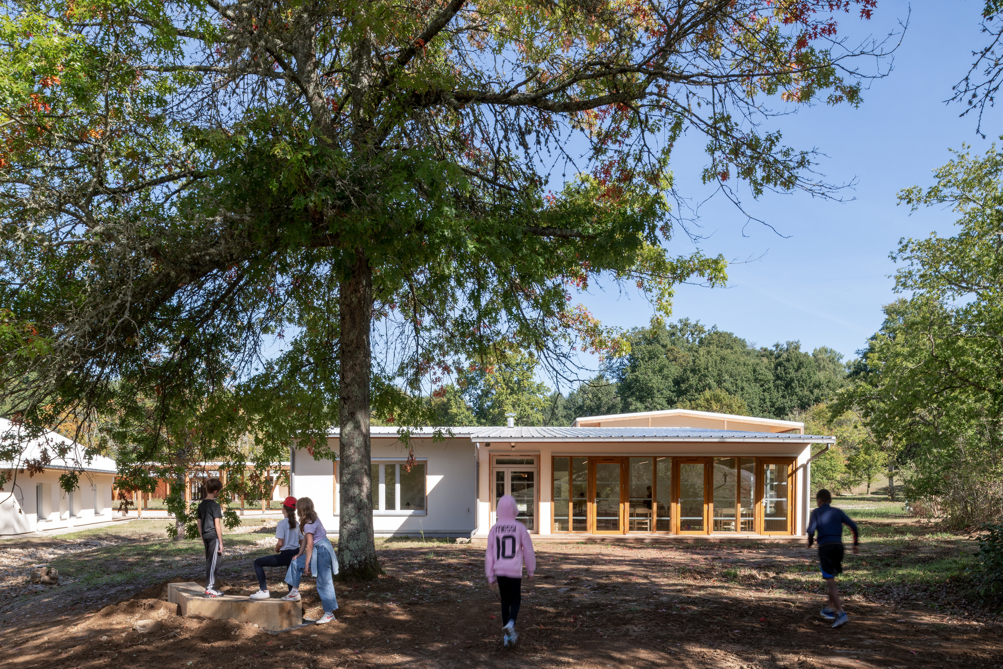 Low pavilion with metal roof and glazed timber facade as children gather beneath a tree