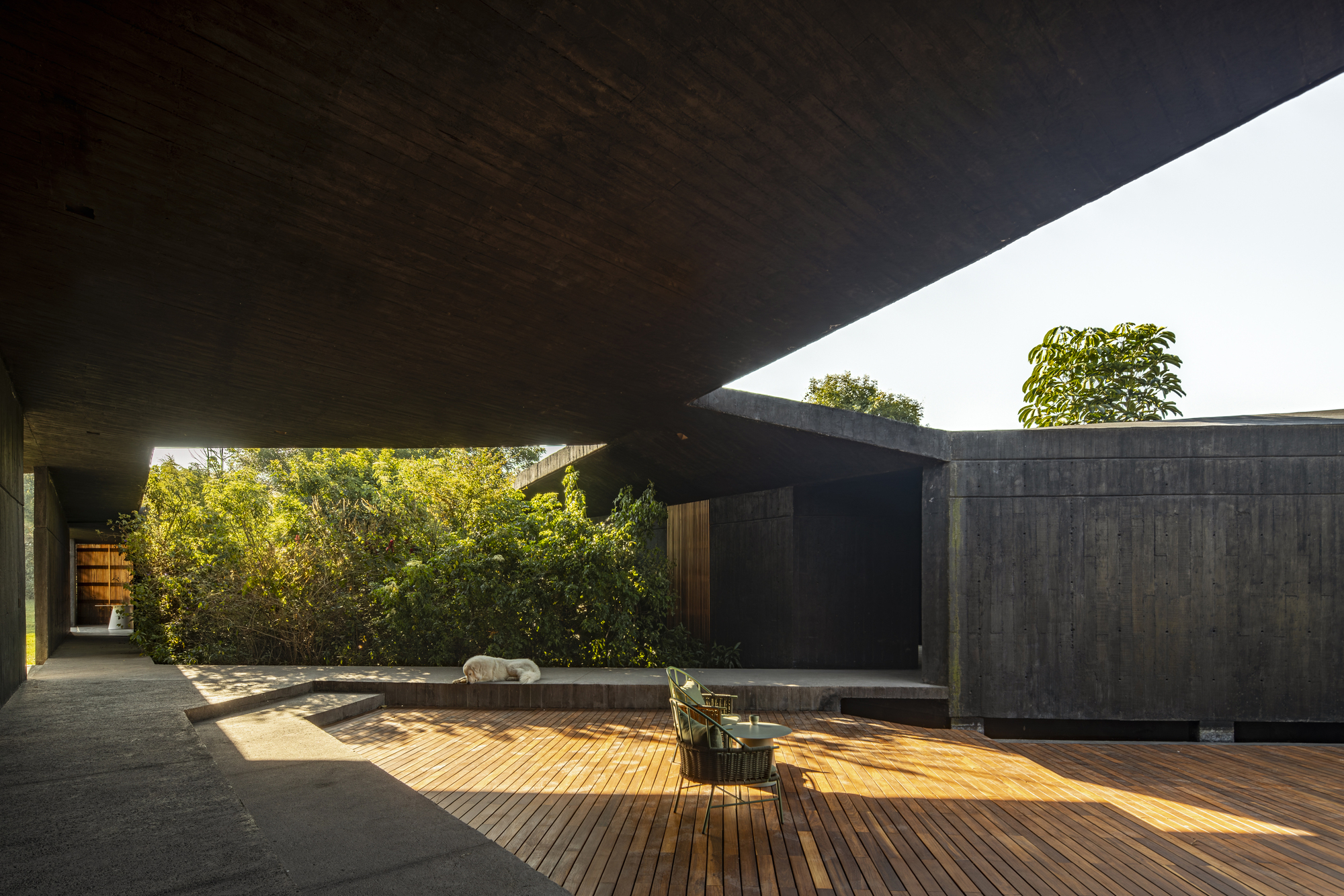 Shaded courtyard with timber decking and a triangular skylight framing vegetation above concrete walls