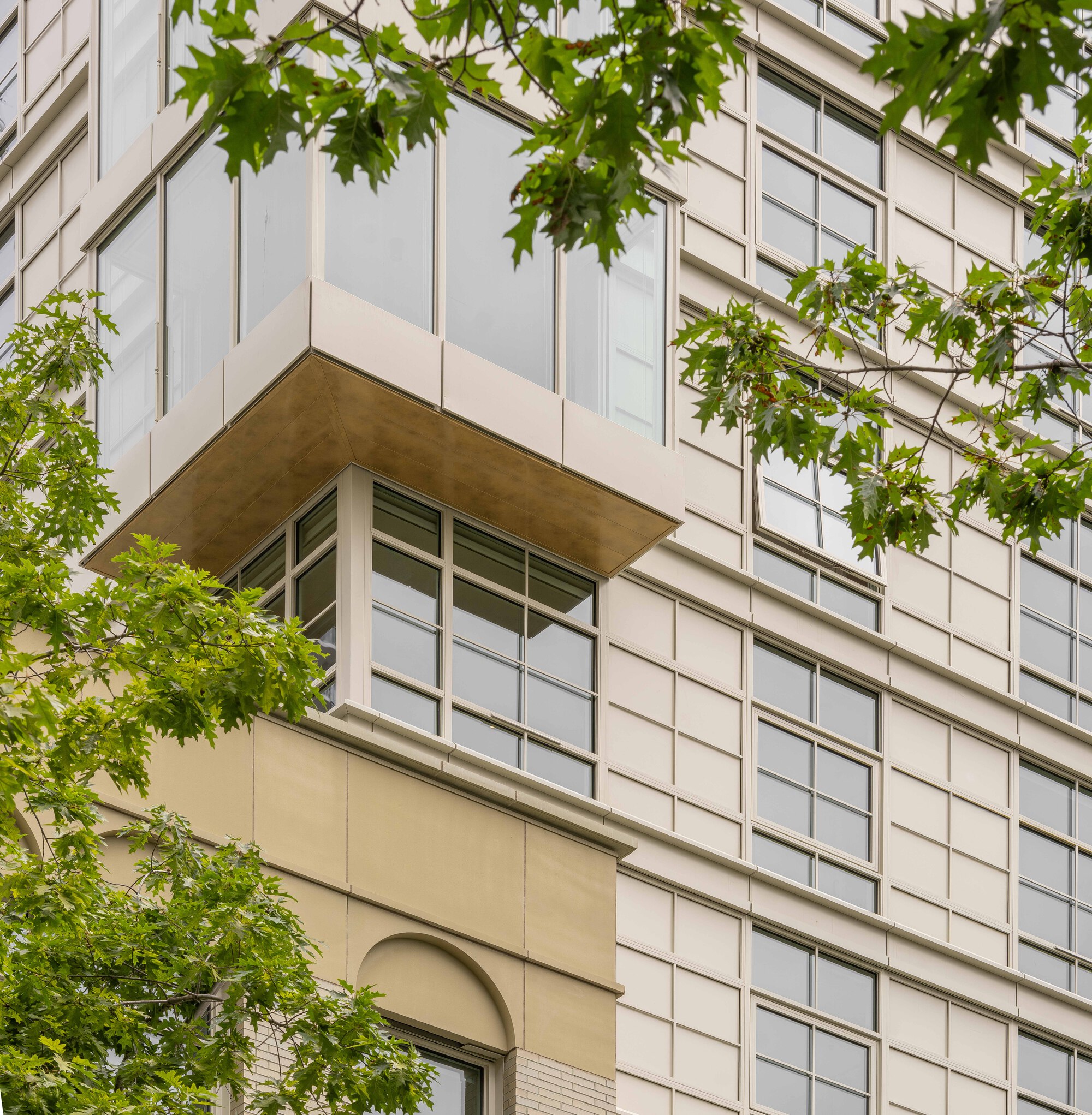 Balcony with timber soffit beneath white panel facade framed by green tree branches