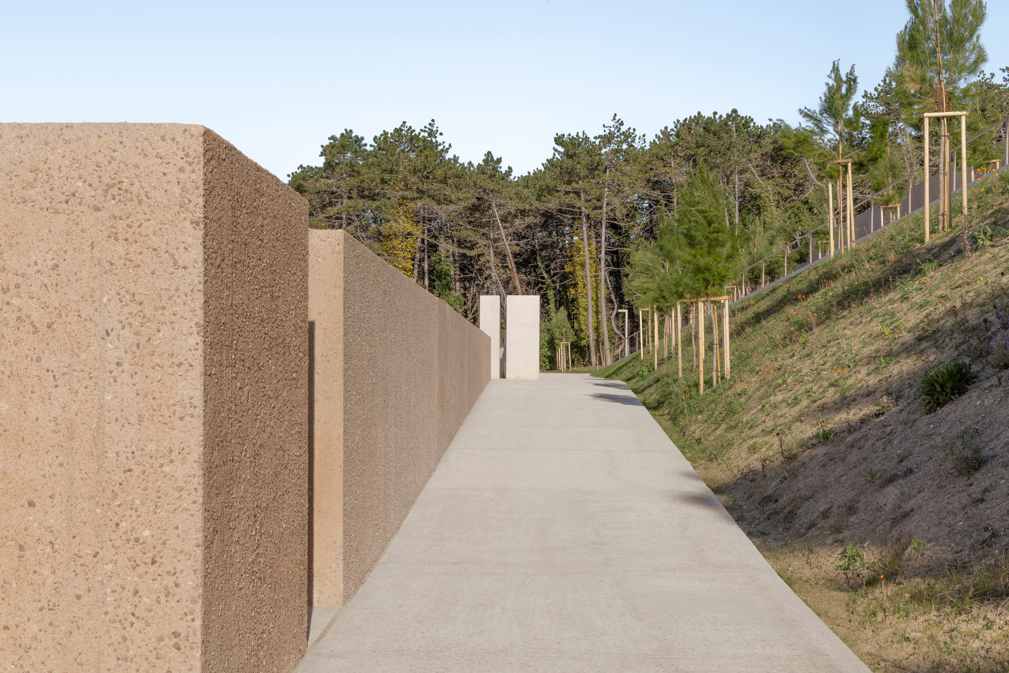 Cork-clad walls flanking a poured concrete path that curves through a sloped pine forest