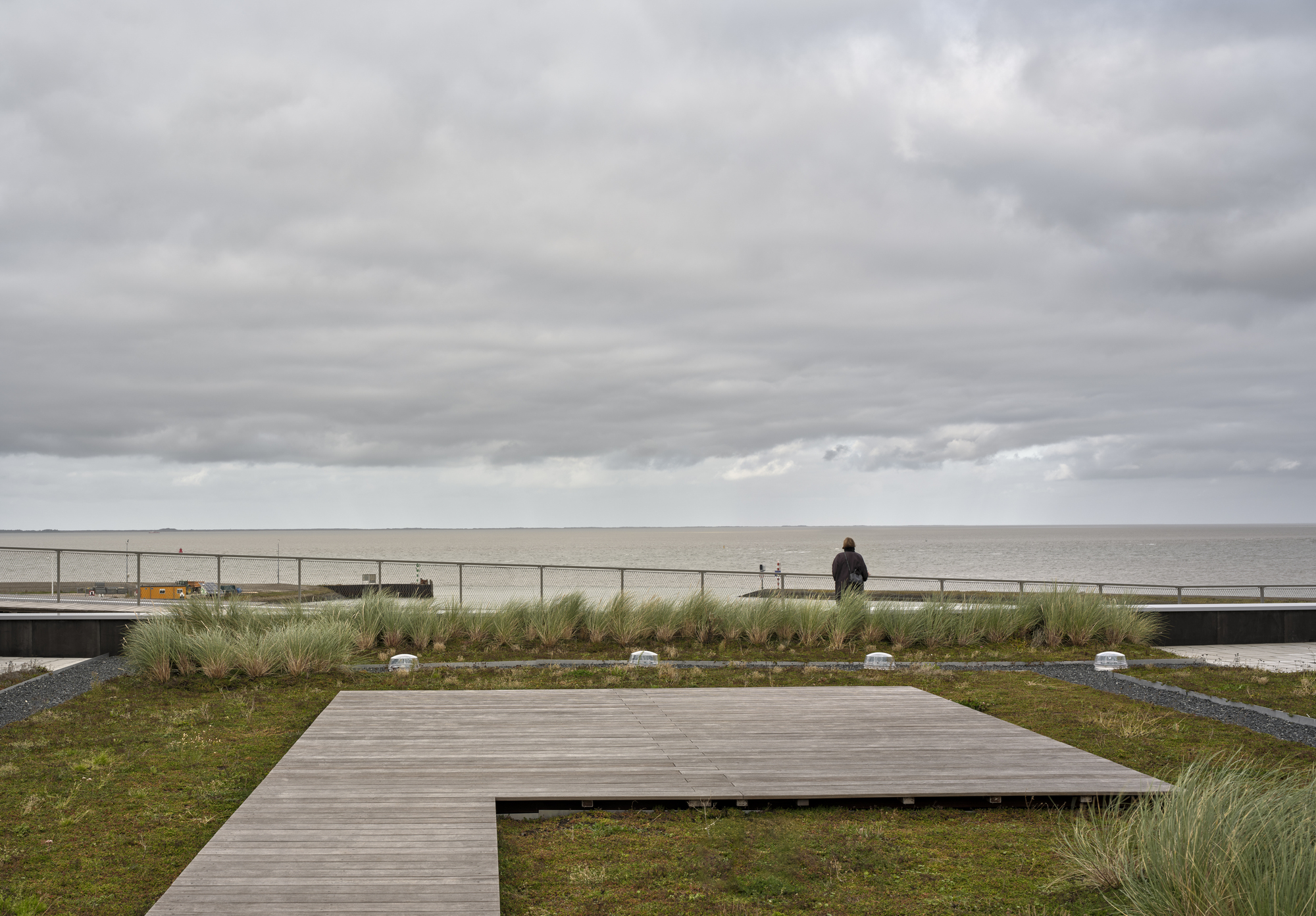 Timber deck platform with planted grasses and figure at railing facing the ocean under overcast sky