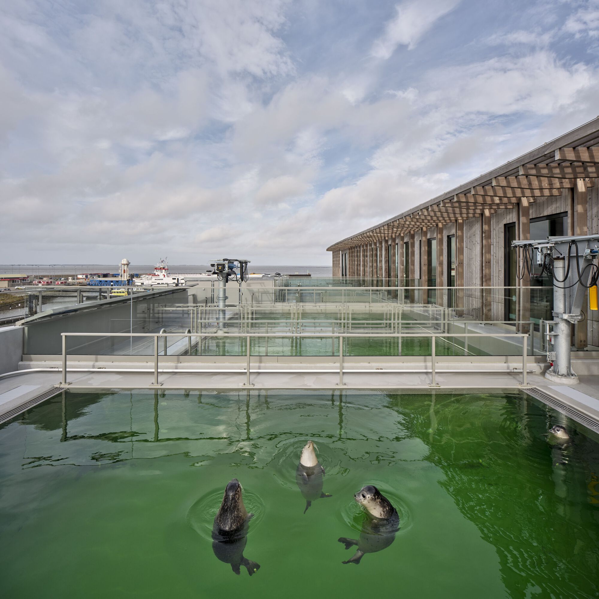 Outdoor seal pool with glass and steel enclosures beside timber slat facade and harbor beyond