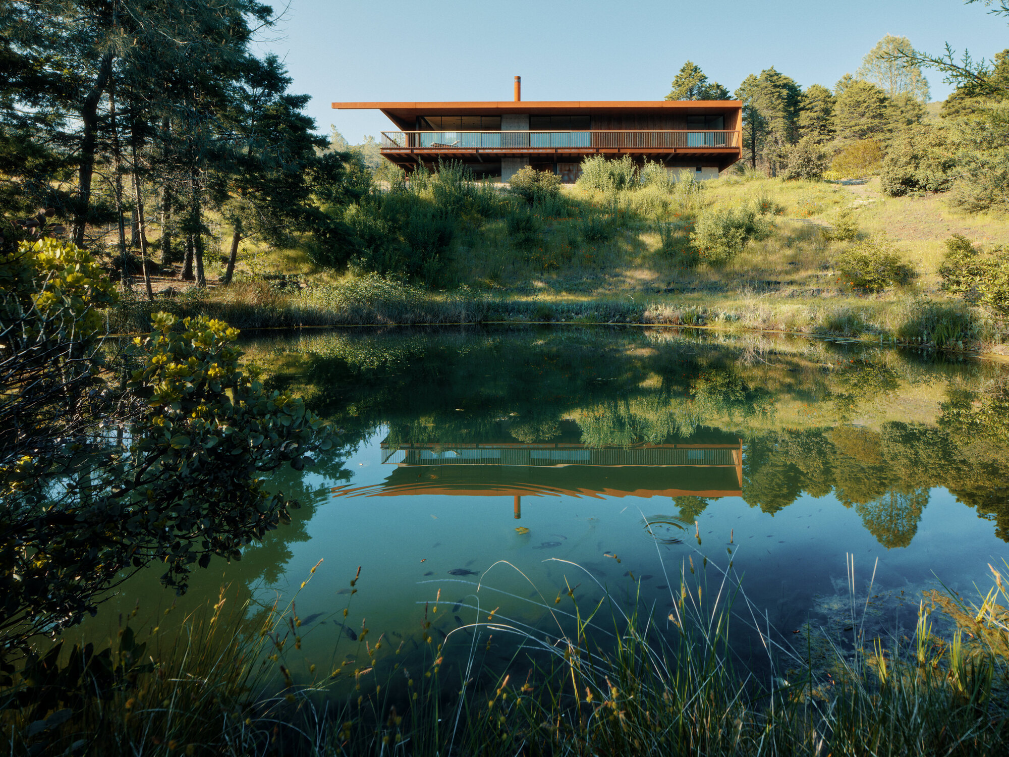 Two-storey horizontal volume with deep overhangs reflected in a natural pond surrounded by grasses and pines