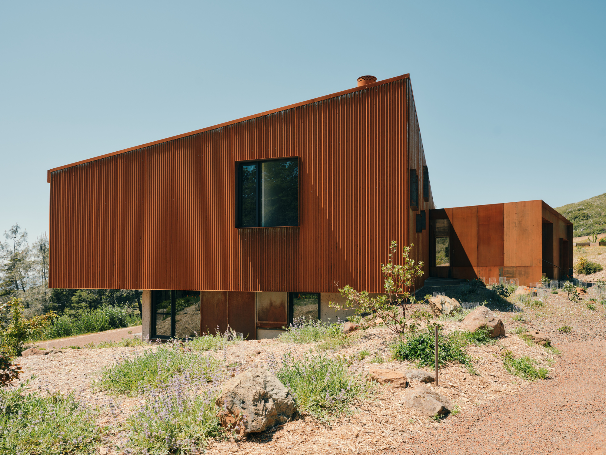 Corrugated metal box volume elevated on dark columns above gravelly terrain with young saplings