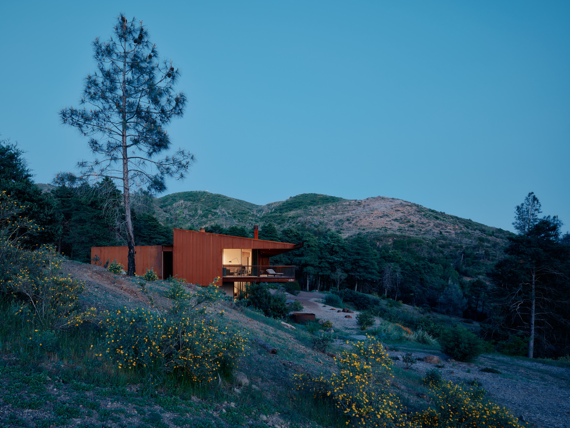 Hillside residence with corten cladding and overhanging roof at dusk with wildflowers in foreground