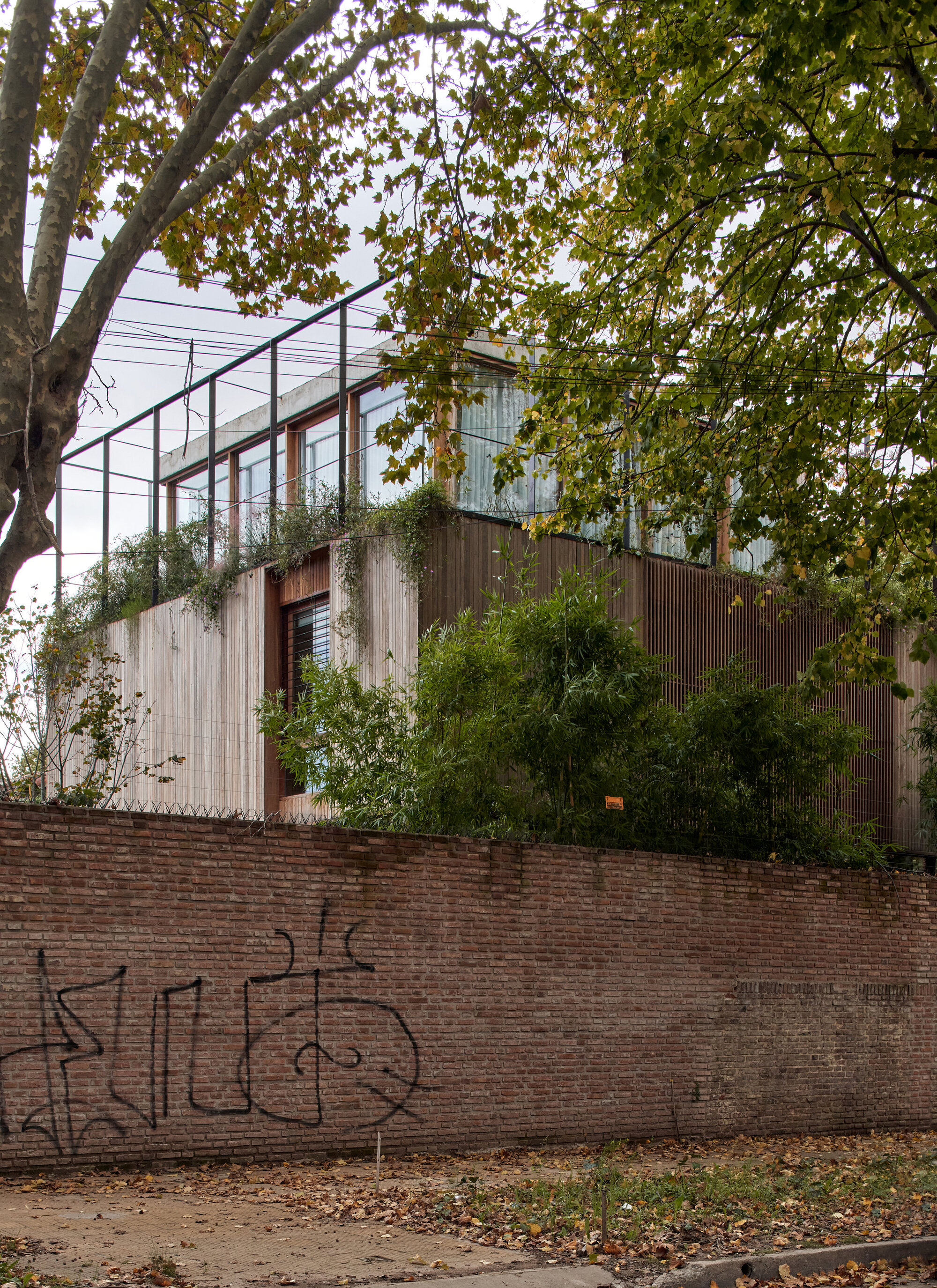 Facade with corrugated metal cladding and cascading vegetation emerging from a weathered brick base