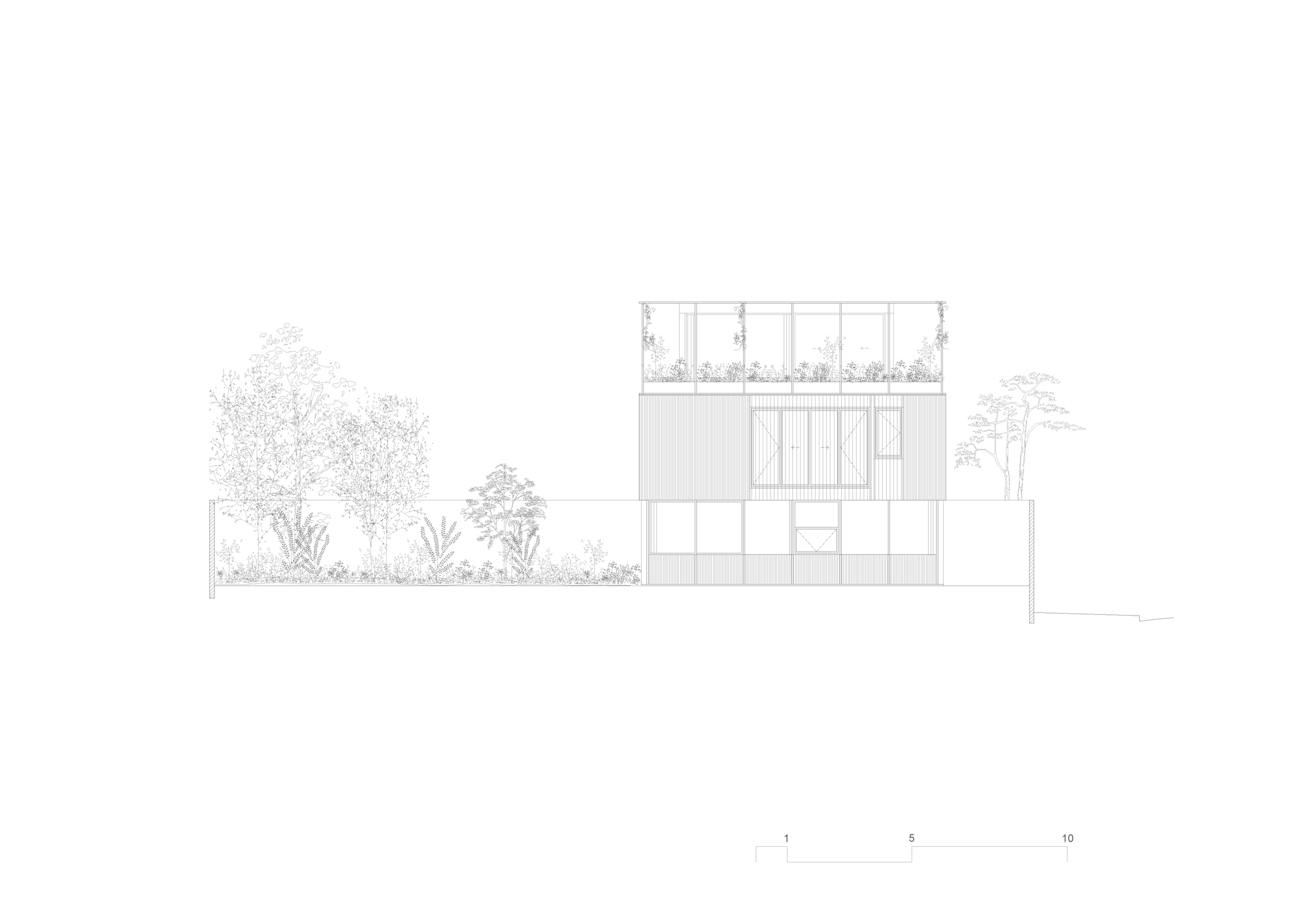Elevation drawing showing a two-storey facade with rooftop terrace and surrounding vegetation