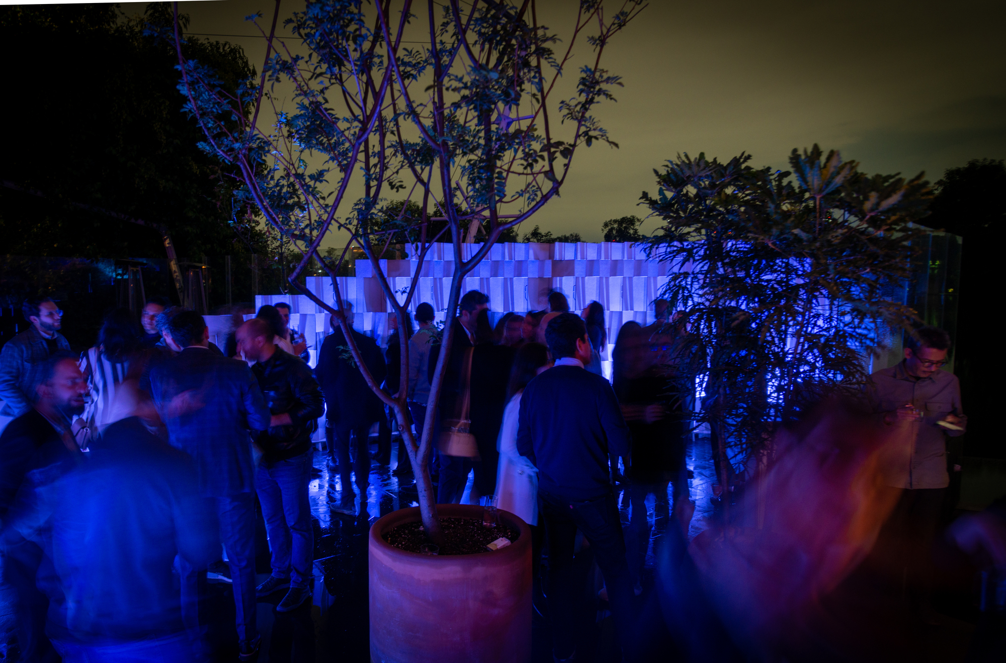Event gathering in courtyard with visitors mingling among planted trees at night