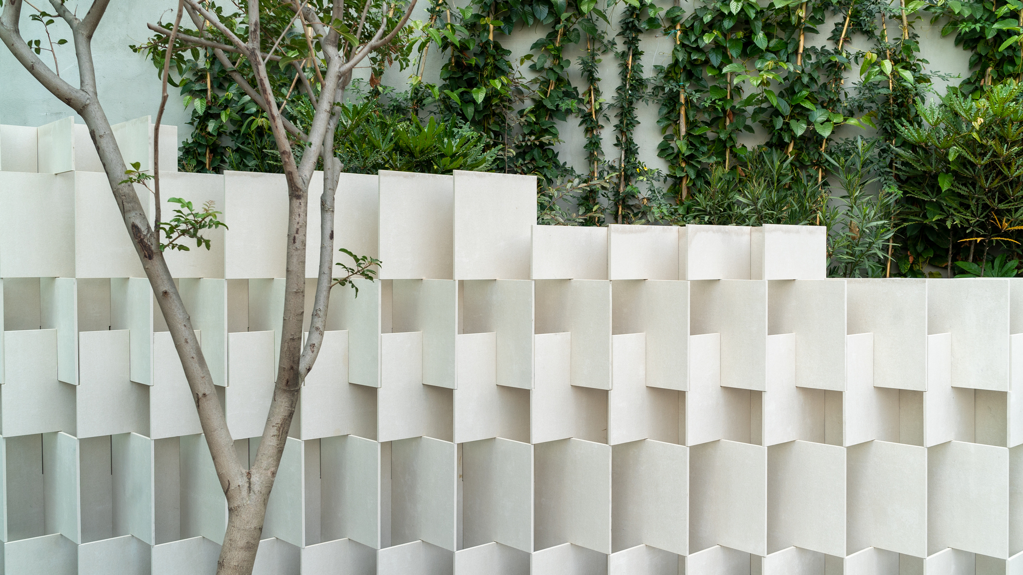 White textured wall system with projecting fins adjacent to climbing vines and a slender tree trunk