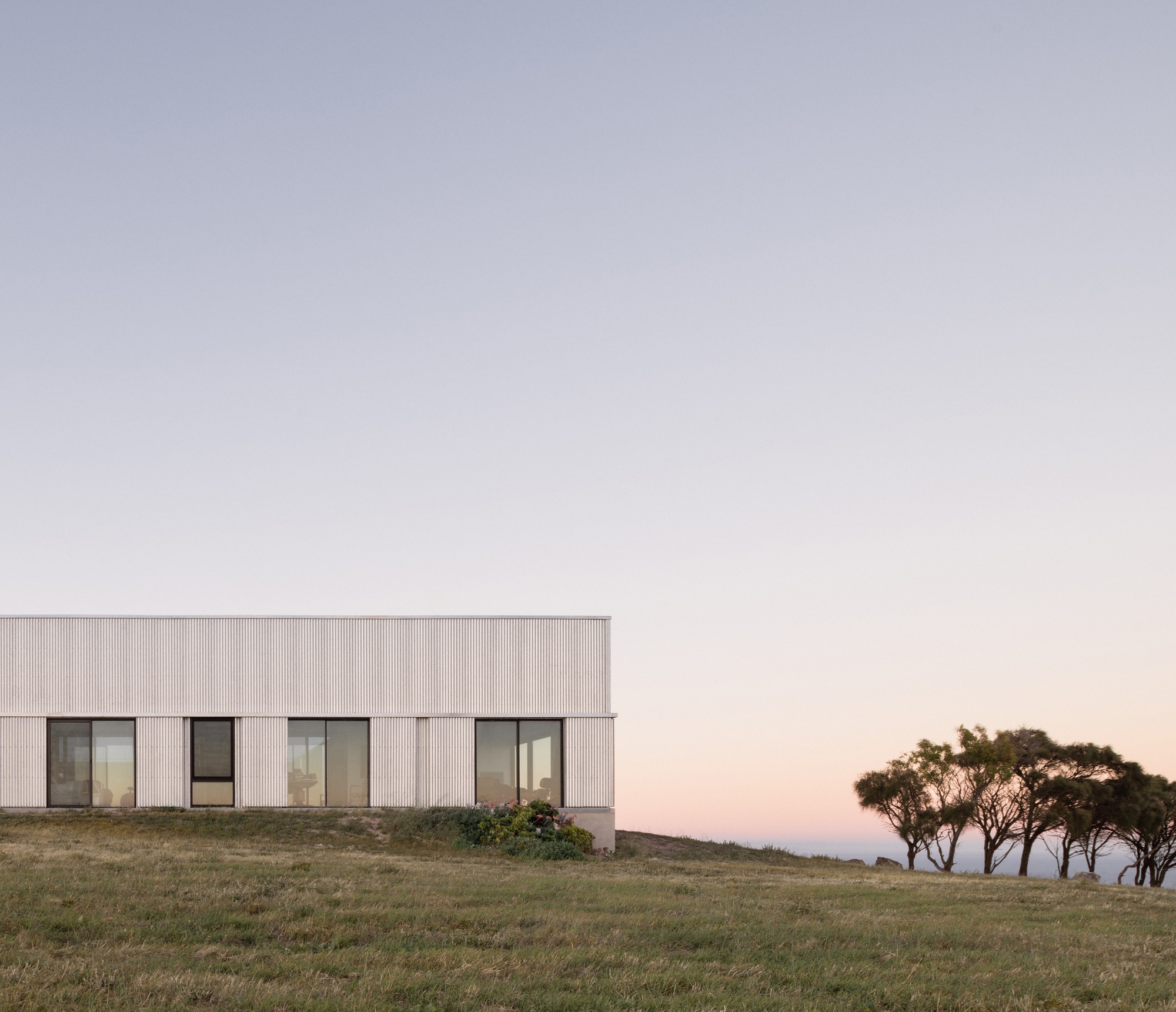 Corrugated metal facade with punched windows on a grassy slope at dusk beside a stand of trees