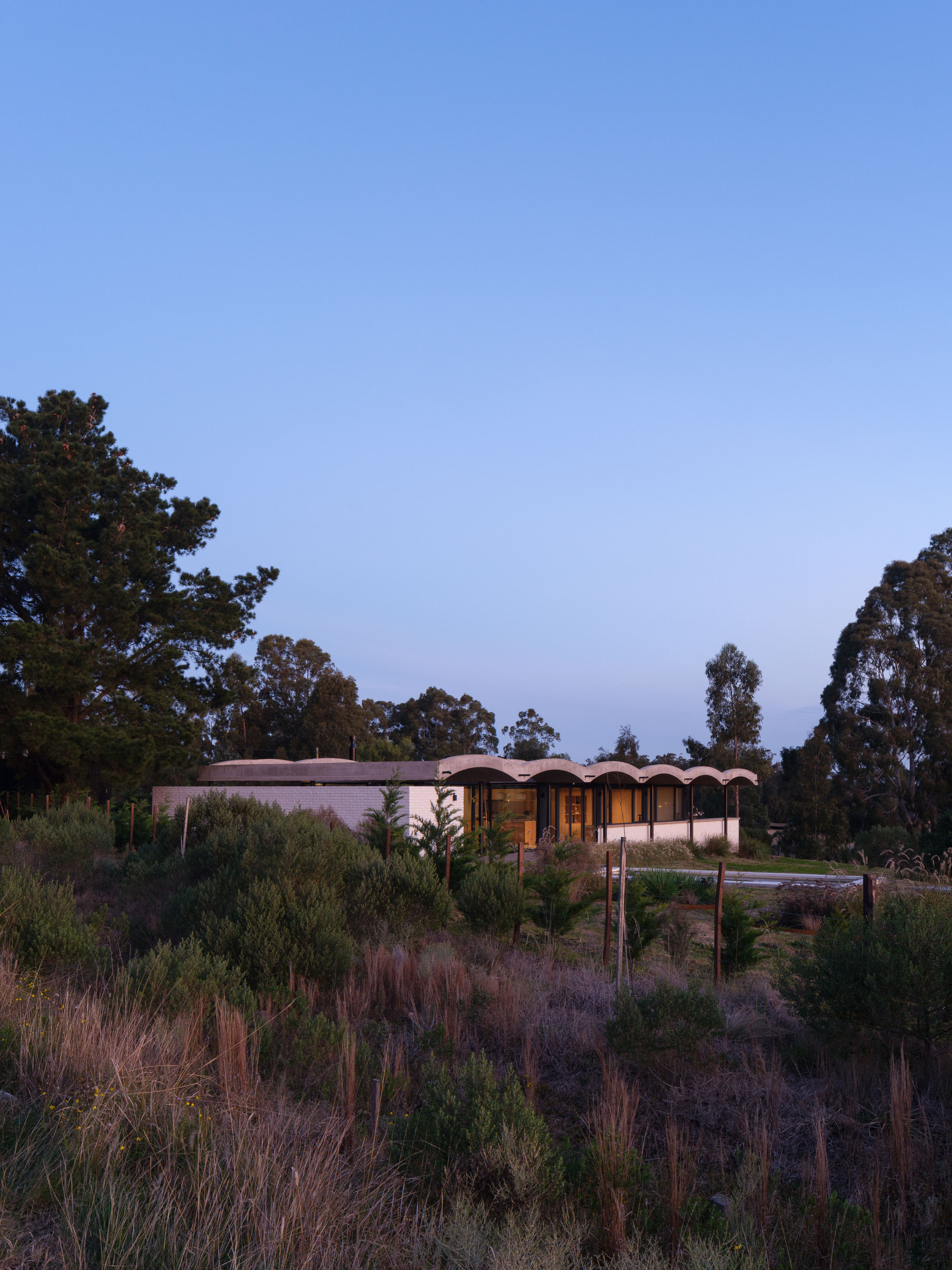 Undulating roof form nestled among native vegetation at twilight with interior lights glowing