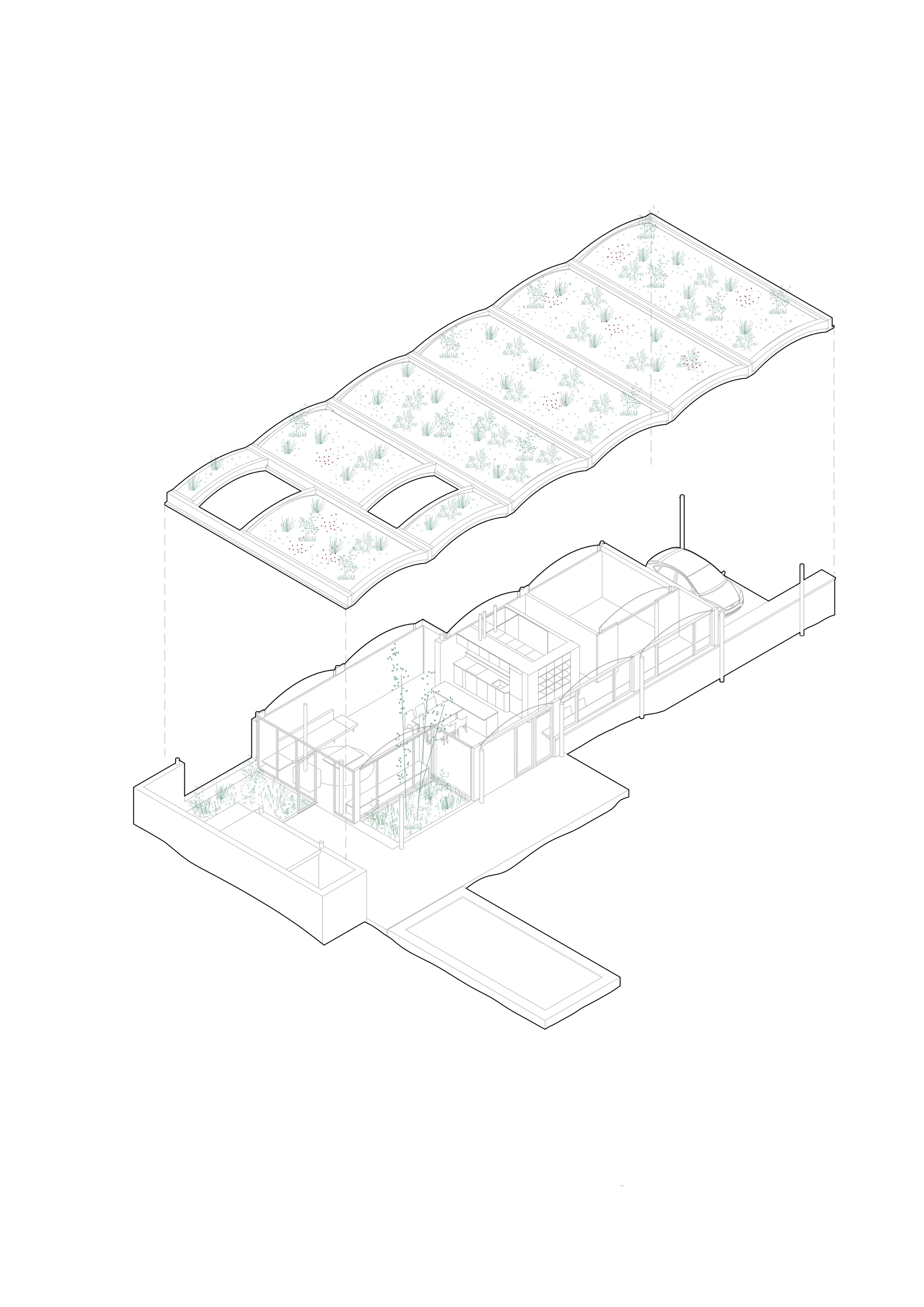Axonometric drawing showing the undulating planted roof hovering above the interior layout