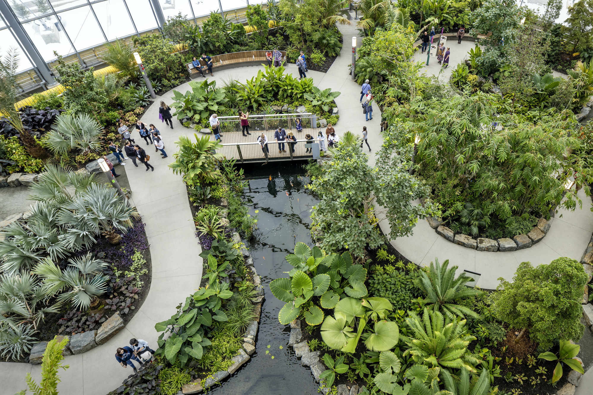 Overhead view of the curving interior pathways winding through planted beds with palms and water features