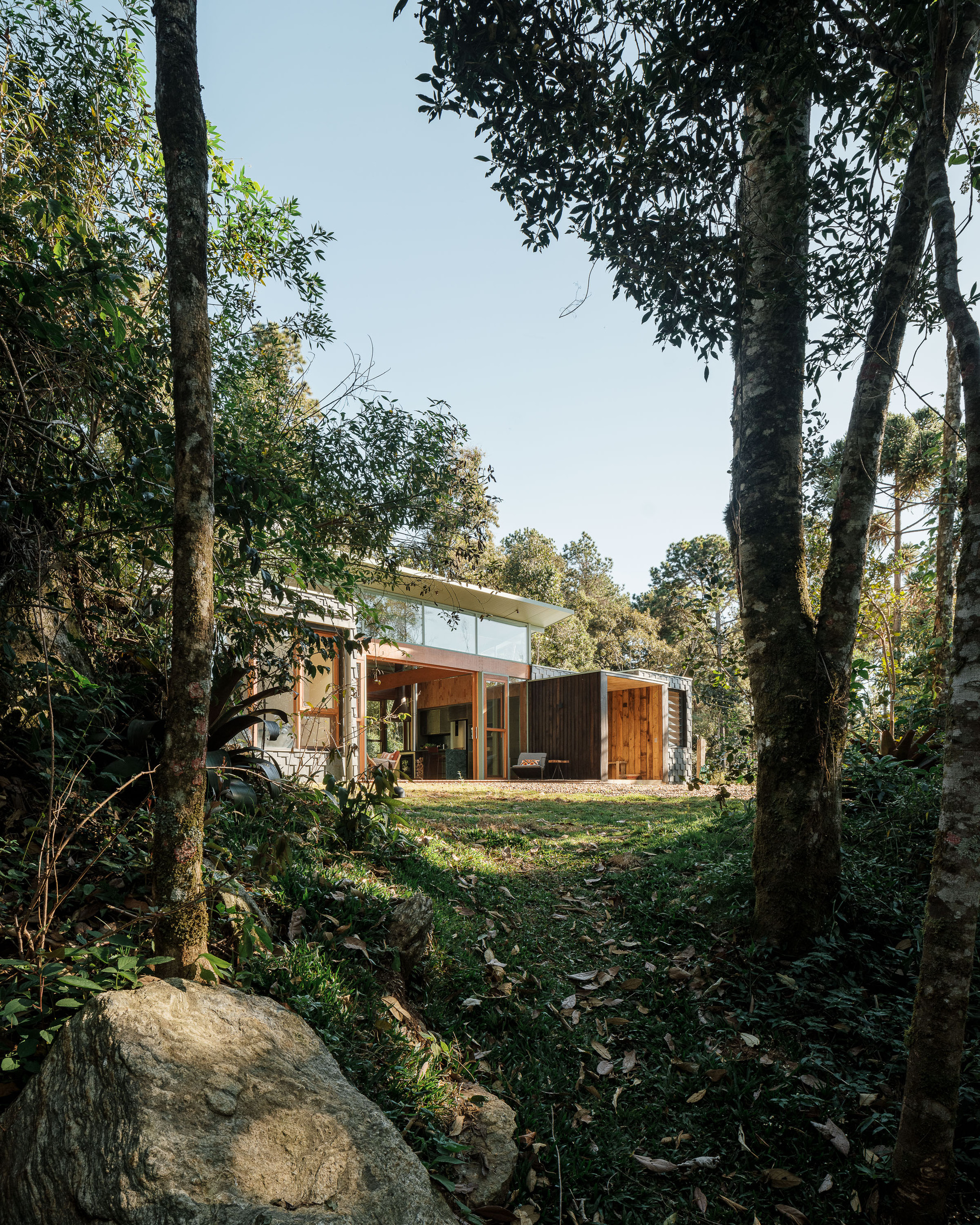 Rear elevation with timber and concrete volumes framed by native trees in dappled sunlight