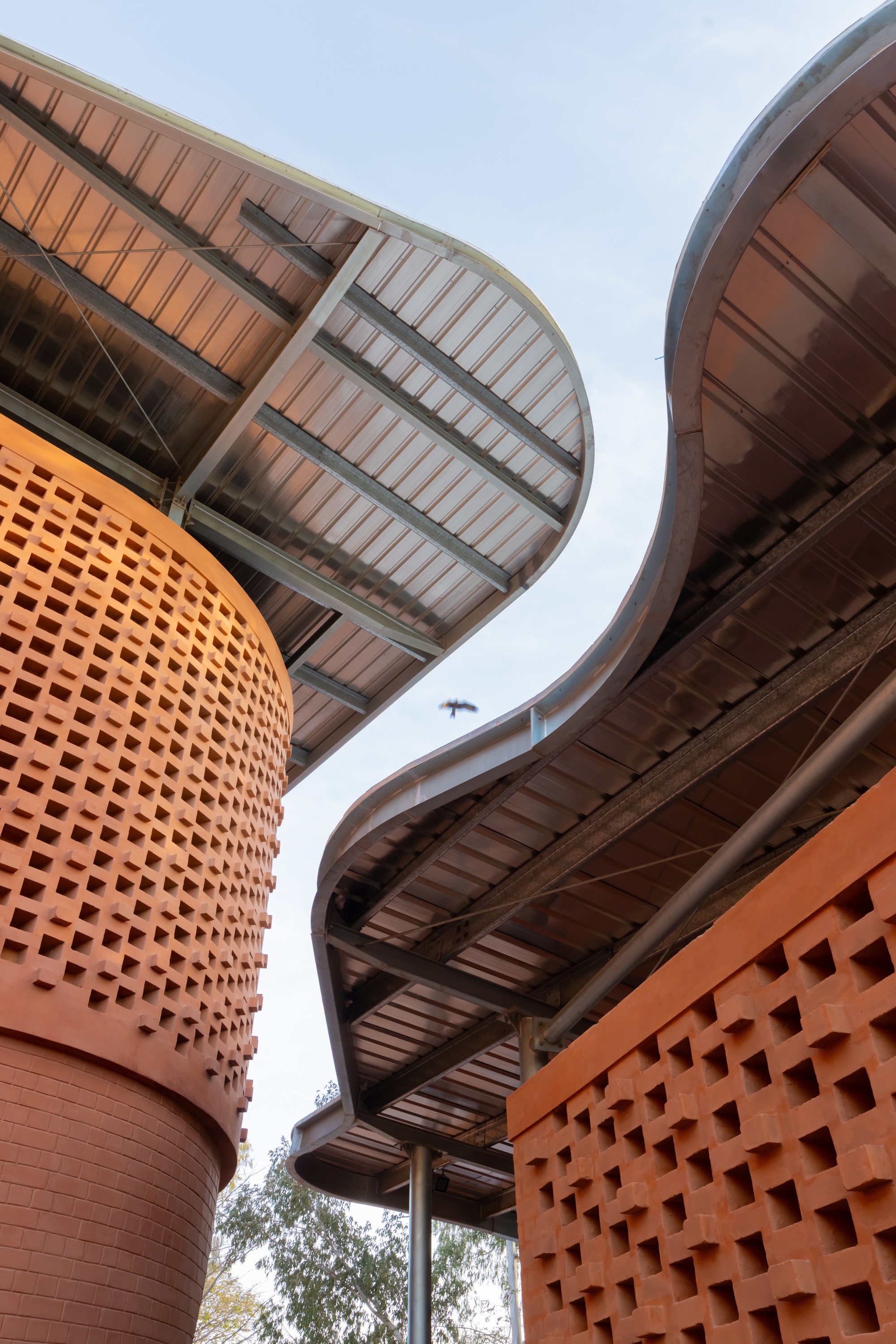 Upward view of perforated terracotta cylindrical volume meeting curved roof canopies with exposed timber soffits