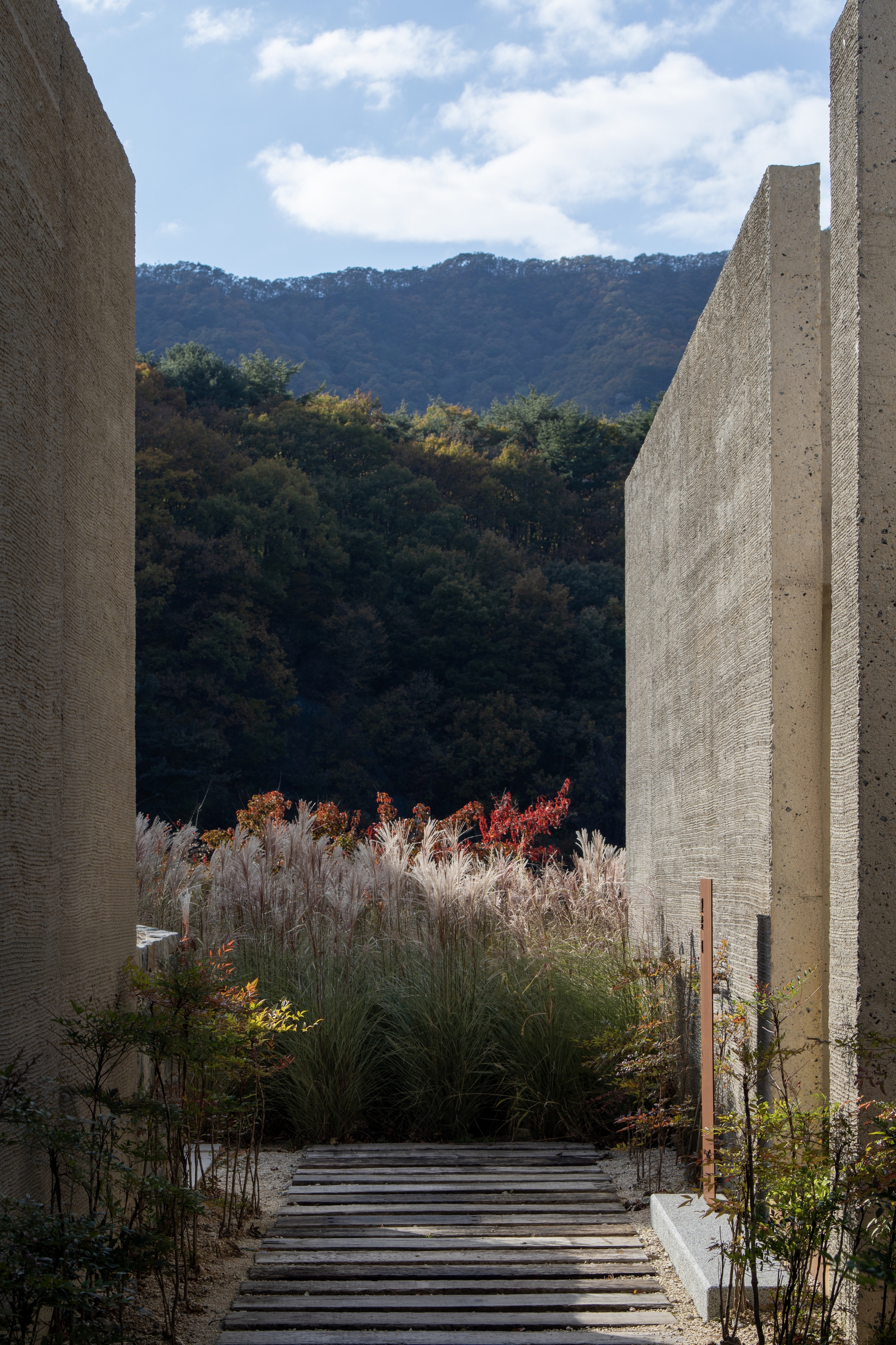 View between textured concrete walls framing a planted courtyard and the forested mountains beyond