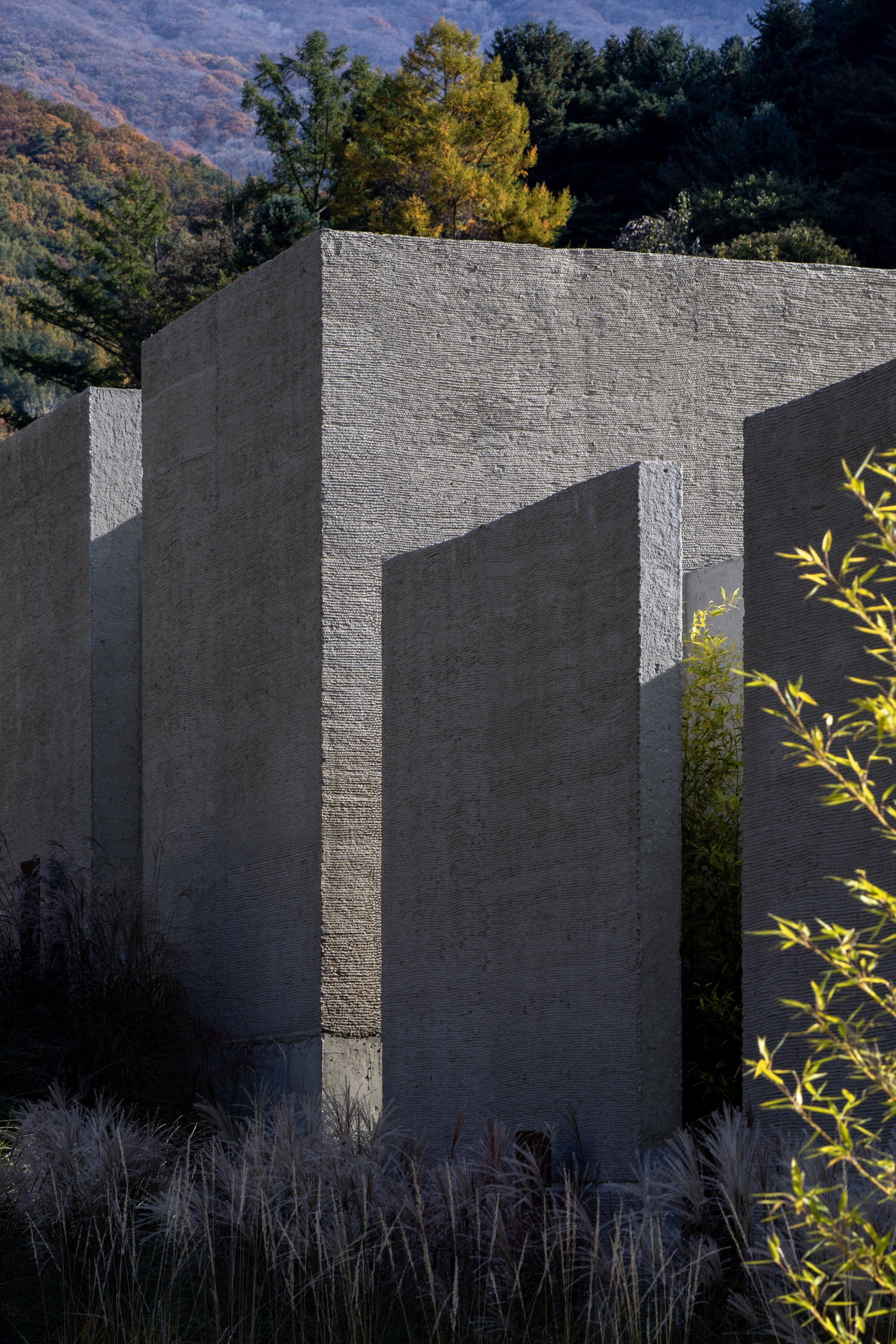 Textured concrete wall planes intersecting at angles with autumn foliage and ornamental grasses at the base