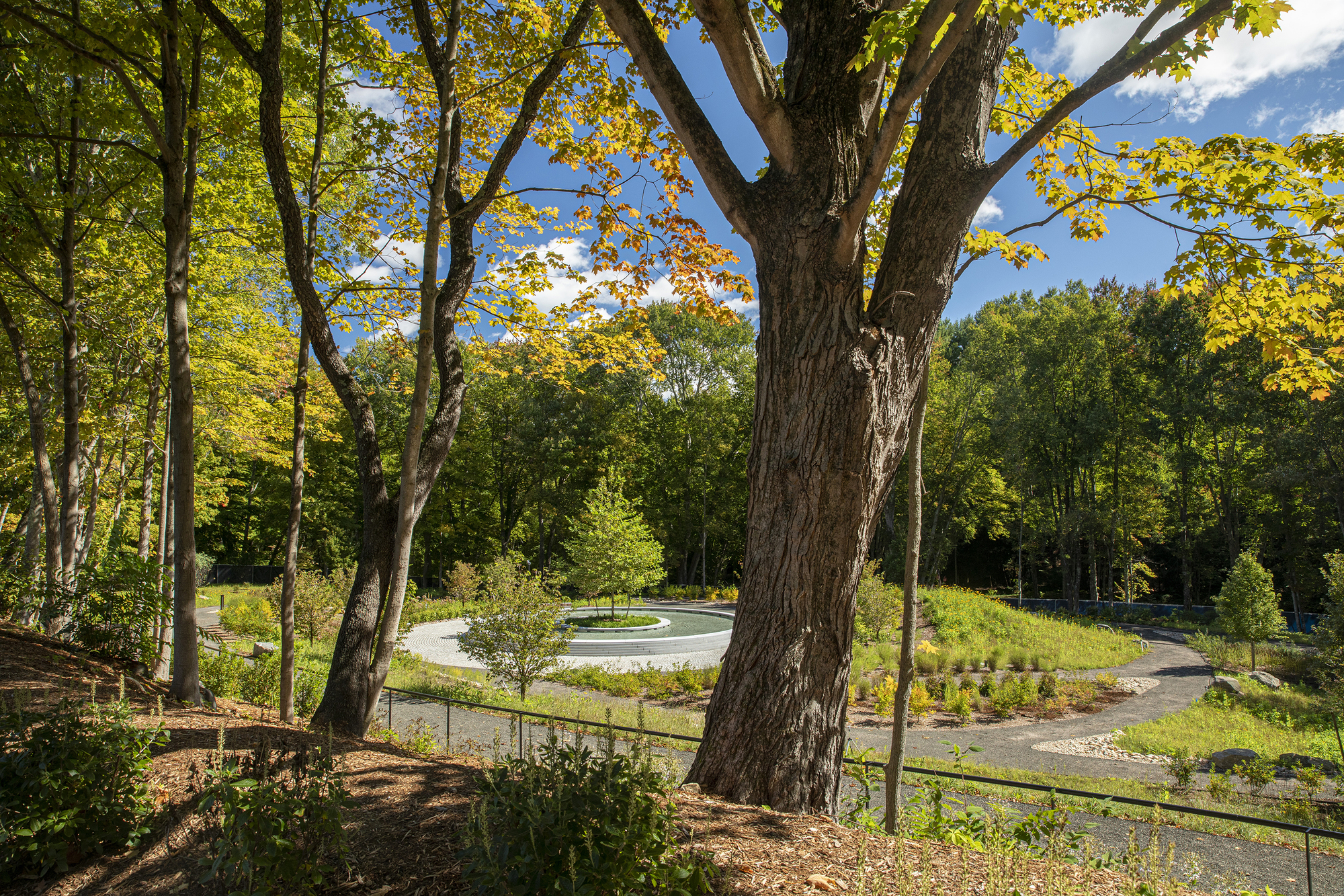 Gravel pathway through mature trees leading toward the memorial fountain in late summer