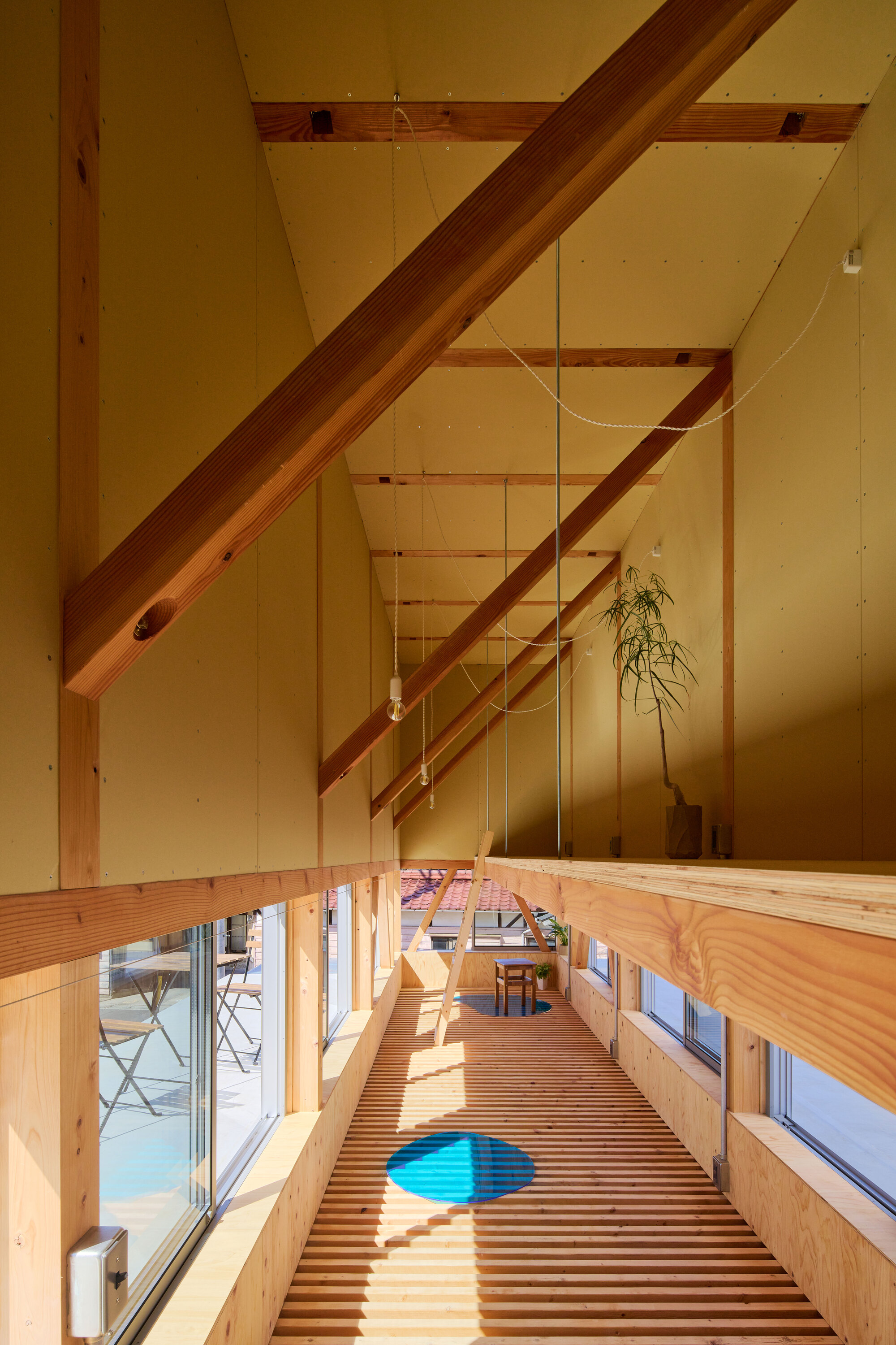 Long view down the slatted timber floor showing diagonal timber beams and a potted plant on the lower level