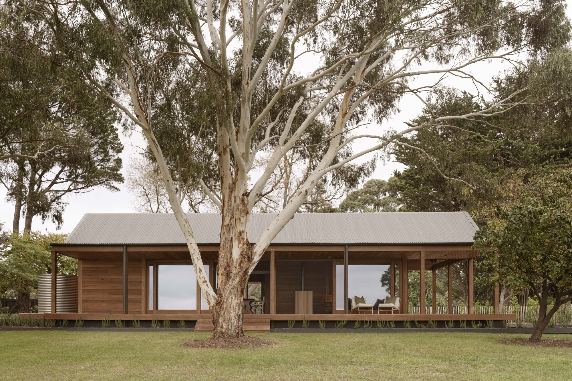 Two pavilions with corrugated metal roofs and timber cladding sit beneath a large eucalyptus tree on a lawn